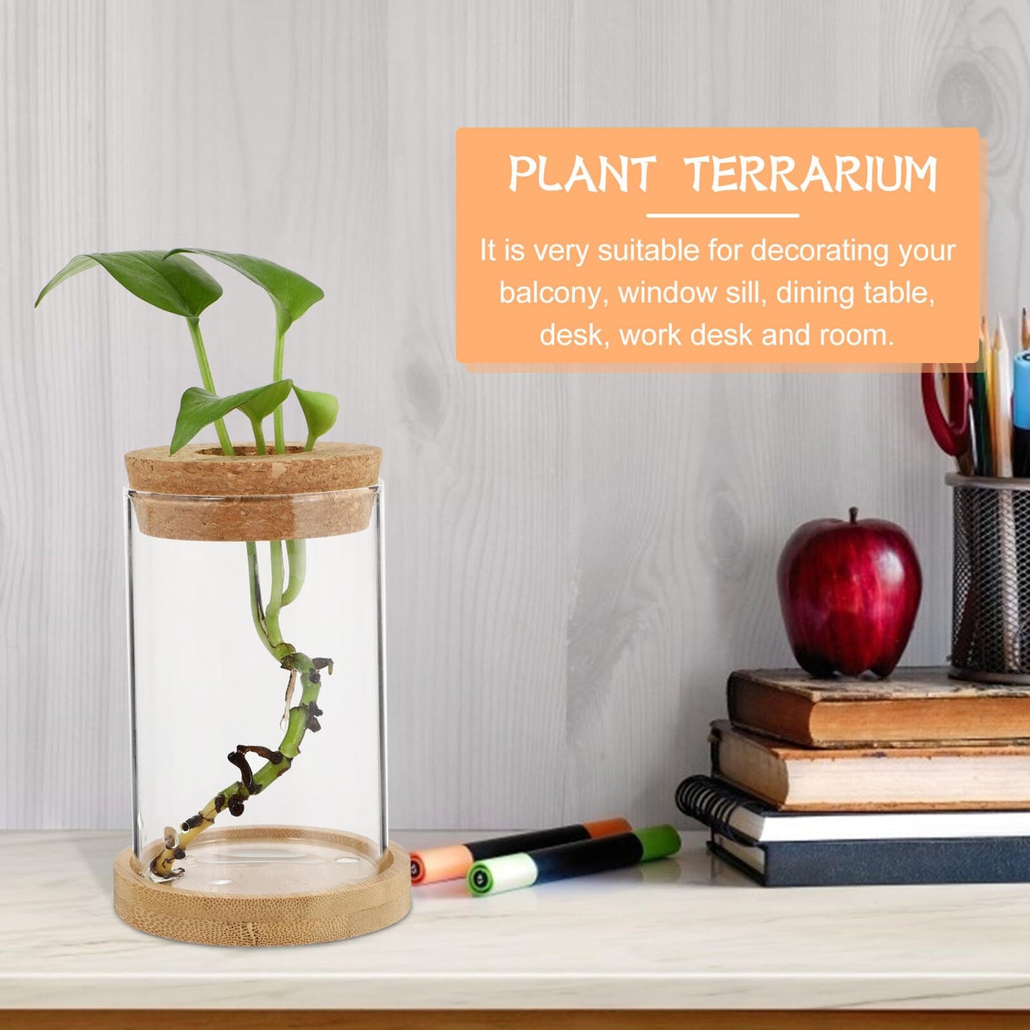 jojofuny 2pcs Glass Planter Vases for Hydroponics Plants 6.5x10in Desktop Terrarium with Stand Set for Home Office Gardening