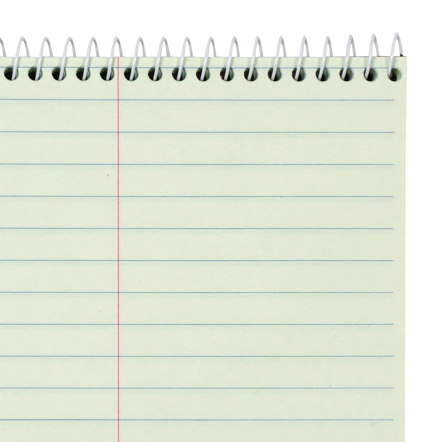 Amazon Basics Steno Notebooks, Gregg Rule, Green Paper for Notes, 80 Sheets, 6" x 9", 12-Pack