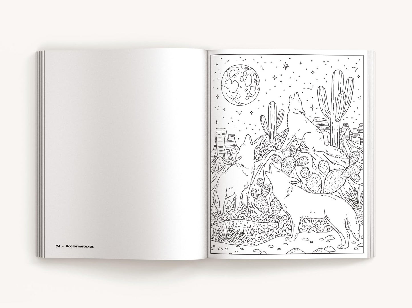 Color Me Texas: A Lone Star State Coloring Book (Color Me Coloring Books)