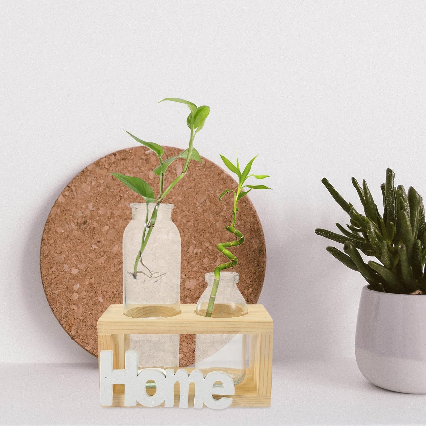 VALICLUD Glass Plant Terrarium with Wooden Stand, Nordic Style Hydroponic Flower Vase Set for Indoor Desktop Decoration, Glass Planter Container for Home and Office