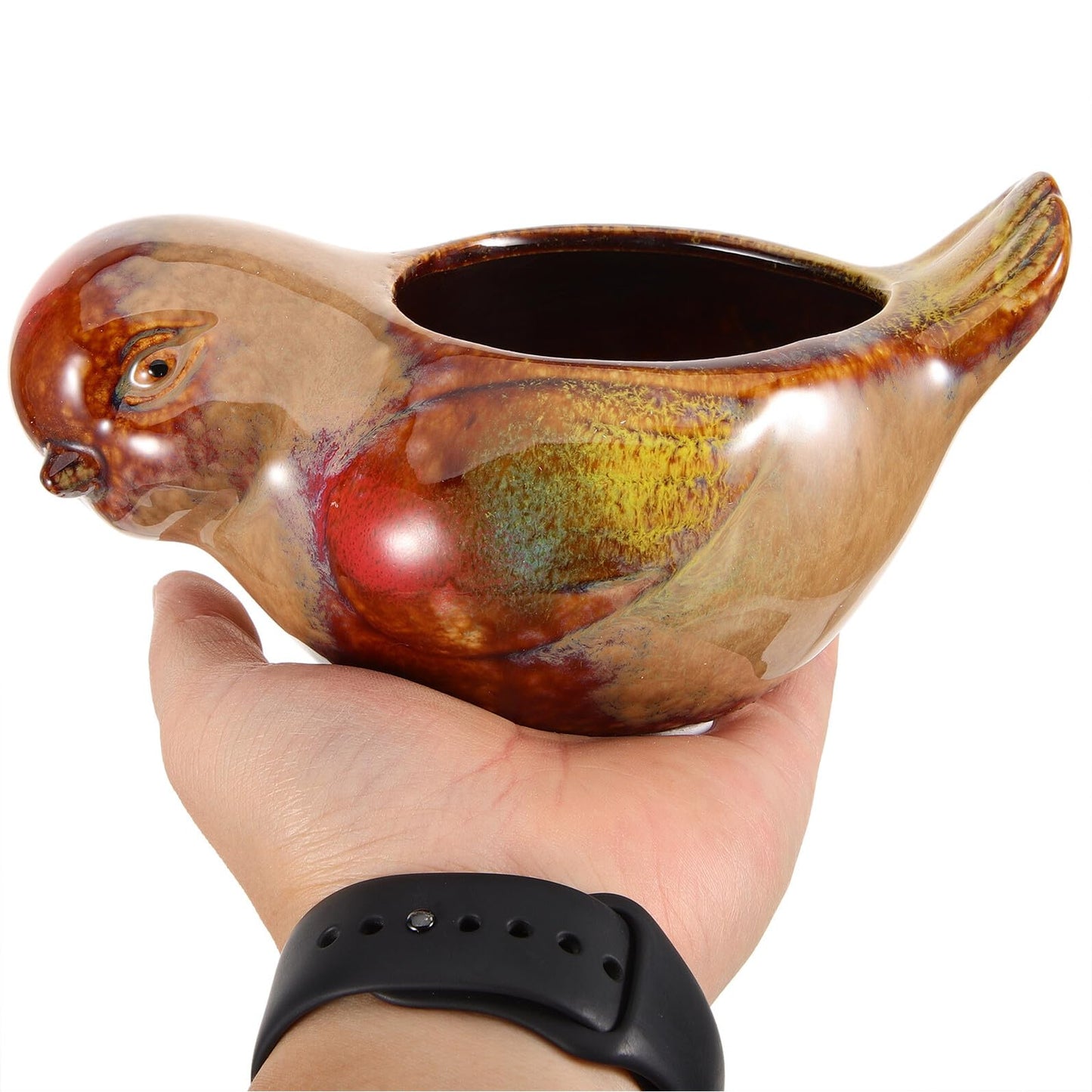 Anneome Ceramic Succulent Planter Pot with Bird Design, Small Indoor Plant Pot for Succulents and Cacti, Decorative Glazed Flowerpot for Home and Garden