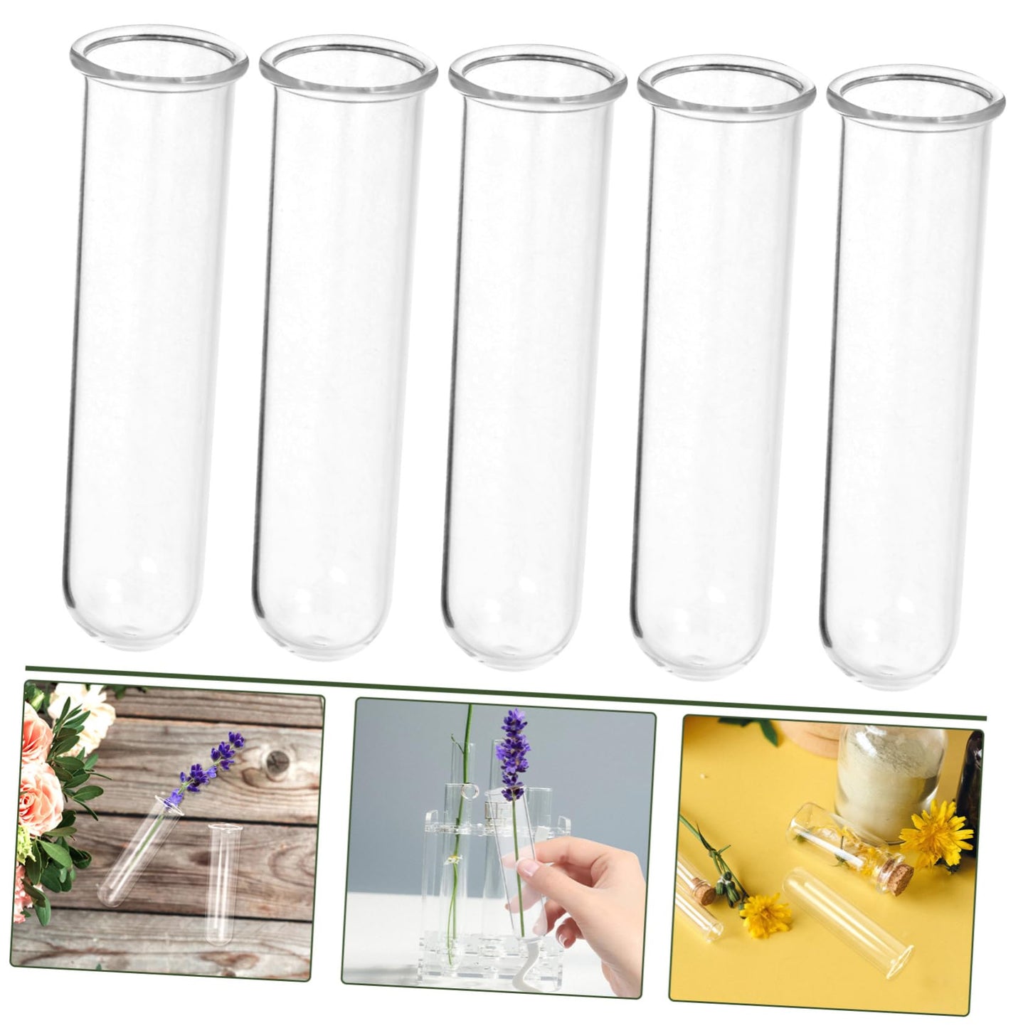 Abaodam 5pcs Clear Glass Test Tube Propagation Vases Multi-use Hydroponic Plant Holders for Home and Office Decor Elegant Terrarium Flower Display Sturdy Design