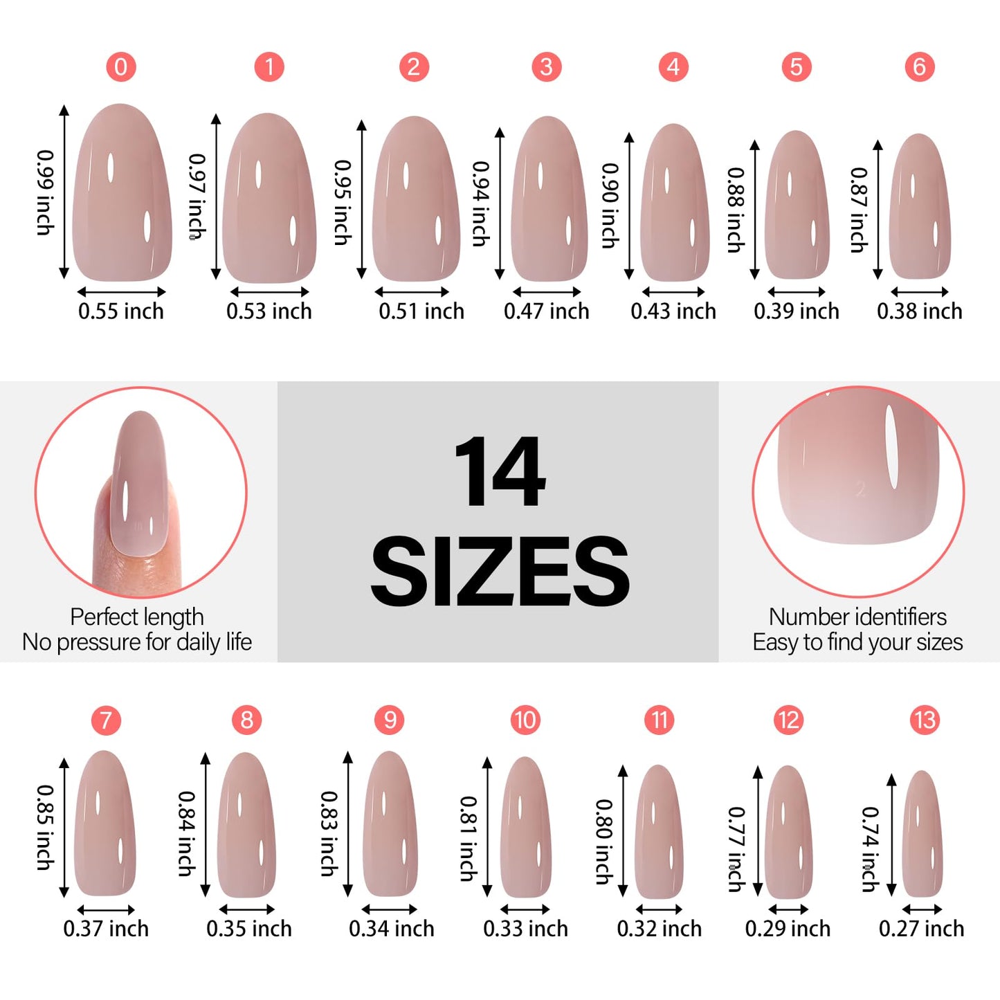 AILLSA Medium Gel Nail Tips Oval Shape 5 Natural Colors 4 in 1 False Nail Tips Set Press on Nails 140 PCS Pre-applied Tip Primer