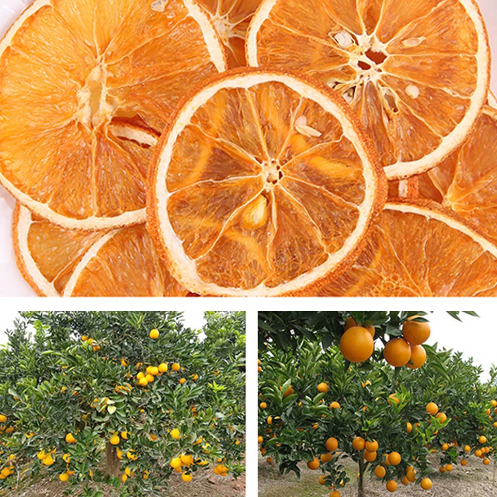 JTEDZI Dried Orange Slices, Dehydrated Orange Slices, Dried Citrus Slices, Dehydrated Fruit for Cocktails Garnish, Home Decor, No Sugar Added Fruit Tea (Orange Slices, 17.63oz(500g))