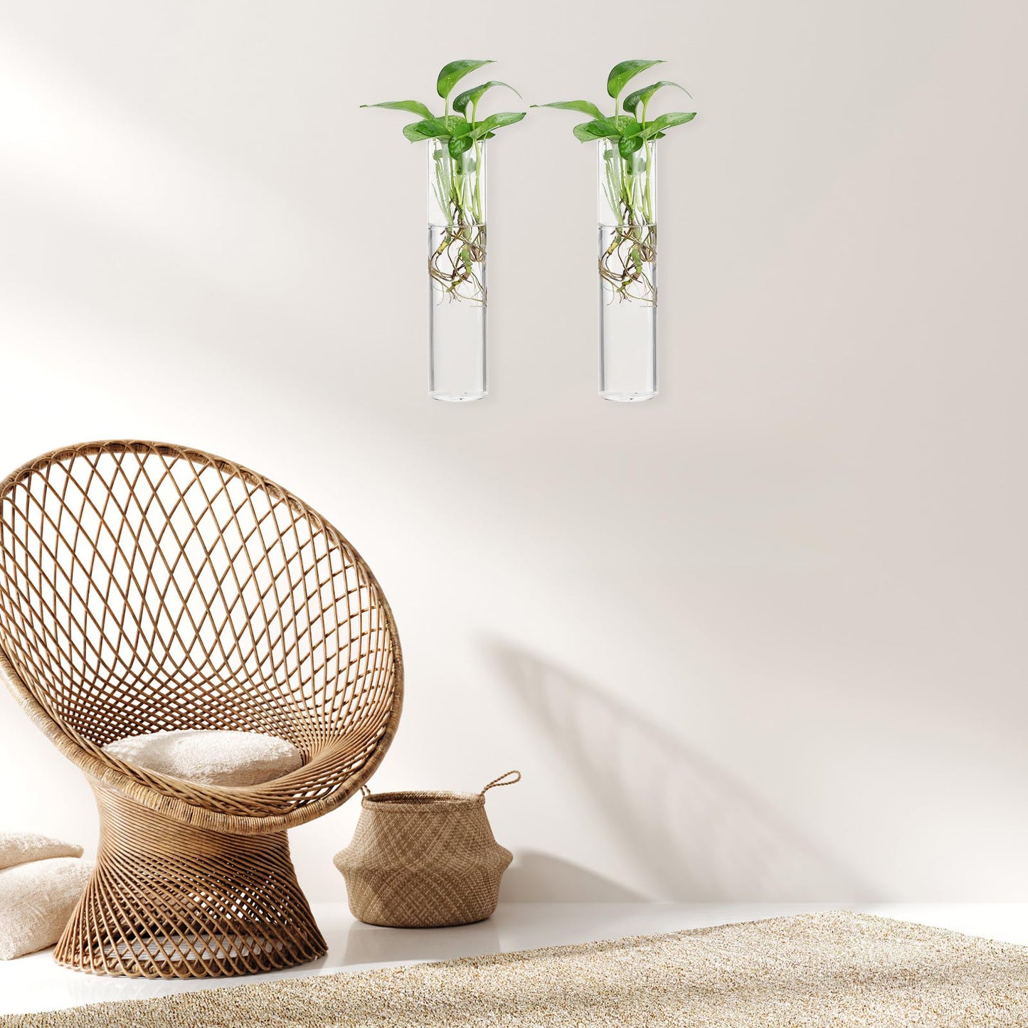 MAGICLULU Wall Mounted Glass Propagation Station Vase for Indoor Plants, Large Cylinder Hanging Planter, Hydroponic Plant Holder, 2pcs for Home Décor and Terrarium Display