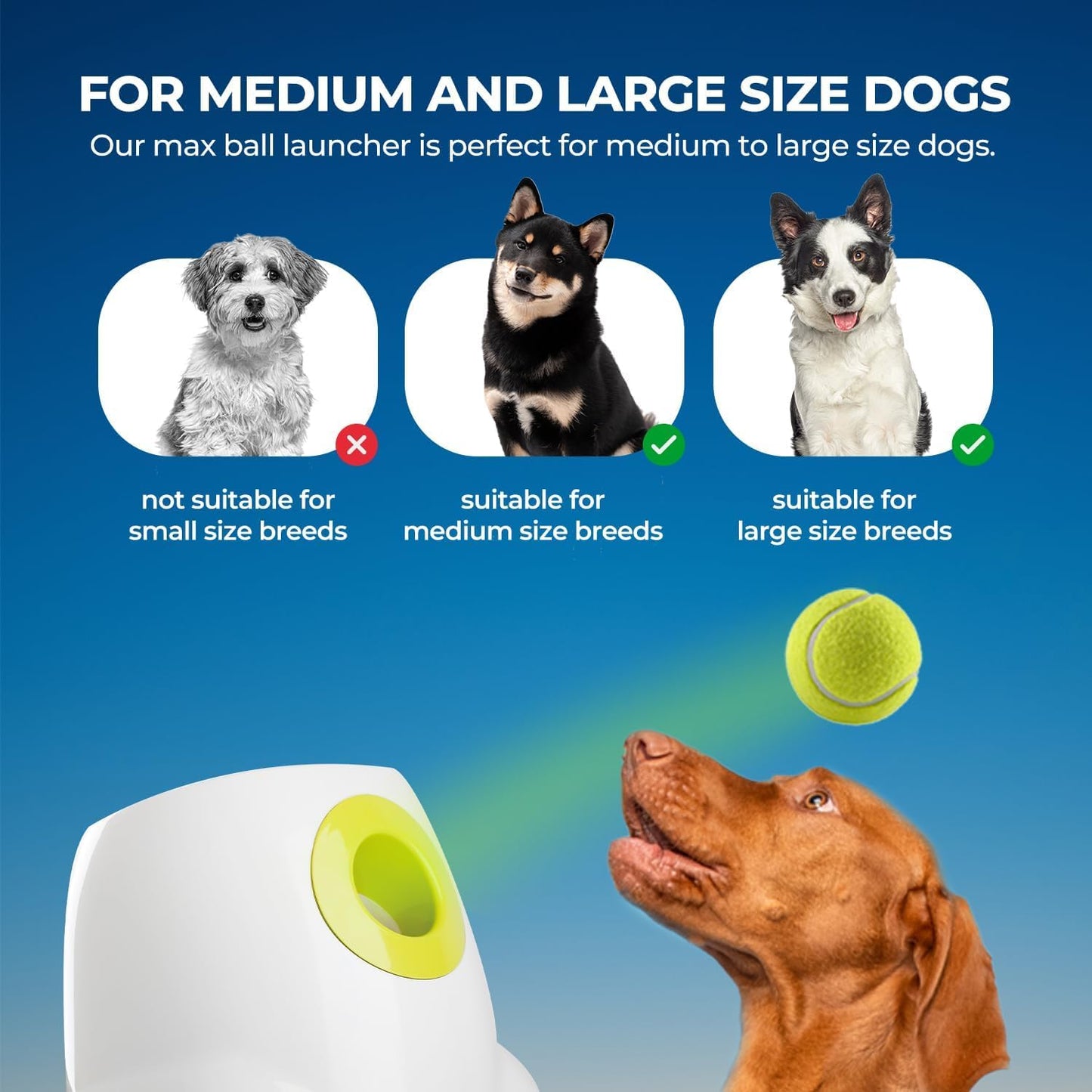 ALL FOR PAWS Automatic Ball Launcher for Dogs, Interactive Tennis Ball Outdoor Thrower for Medium to Large Dogs, Rechargeable Dog Toy, 6 Balls Included