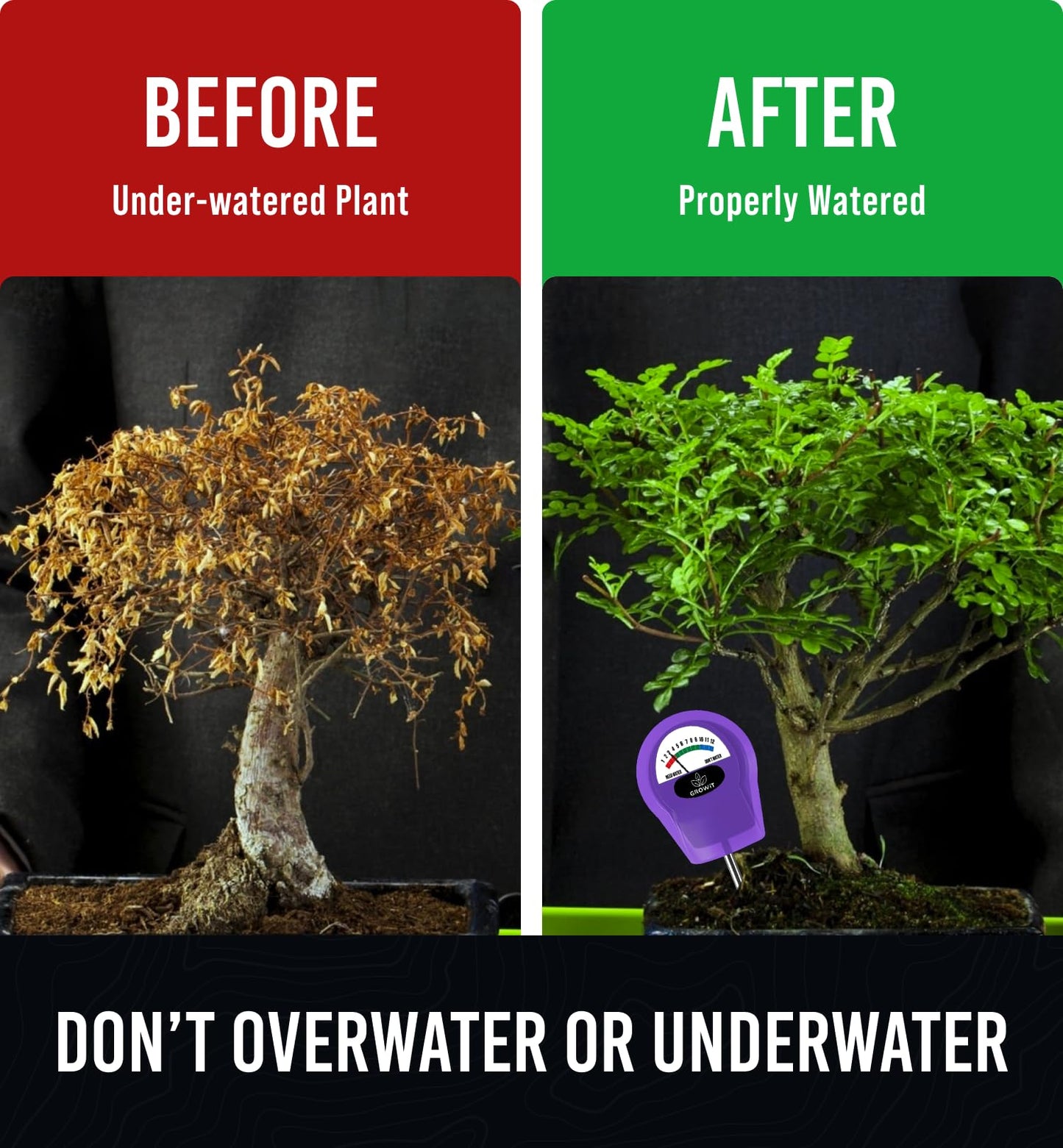 GROWIT Soil Water Monitor for Plants - Soil Moisture Meter | Hydrometer for Plants | Plant Moisture Meter Houseplants | Water Tester for Plants | Farming Indoor and Outdoor Plants-Purple