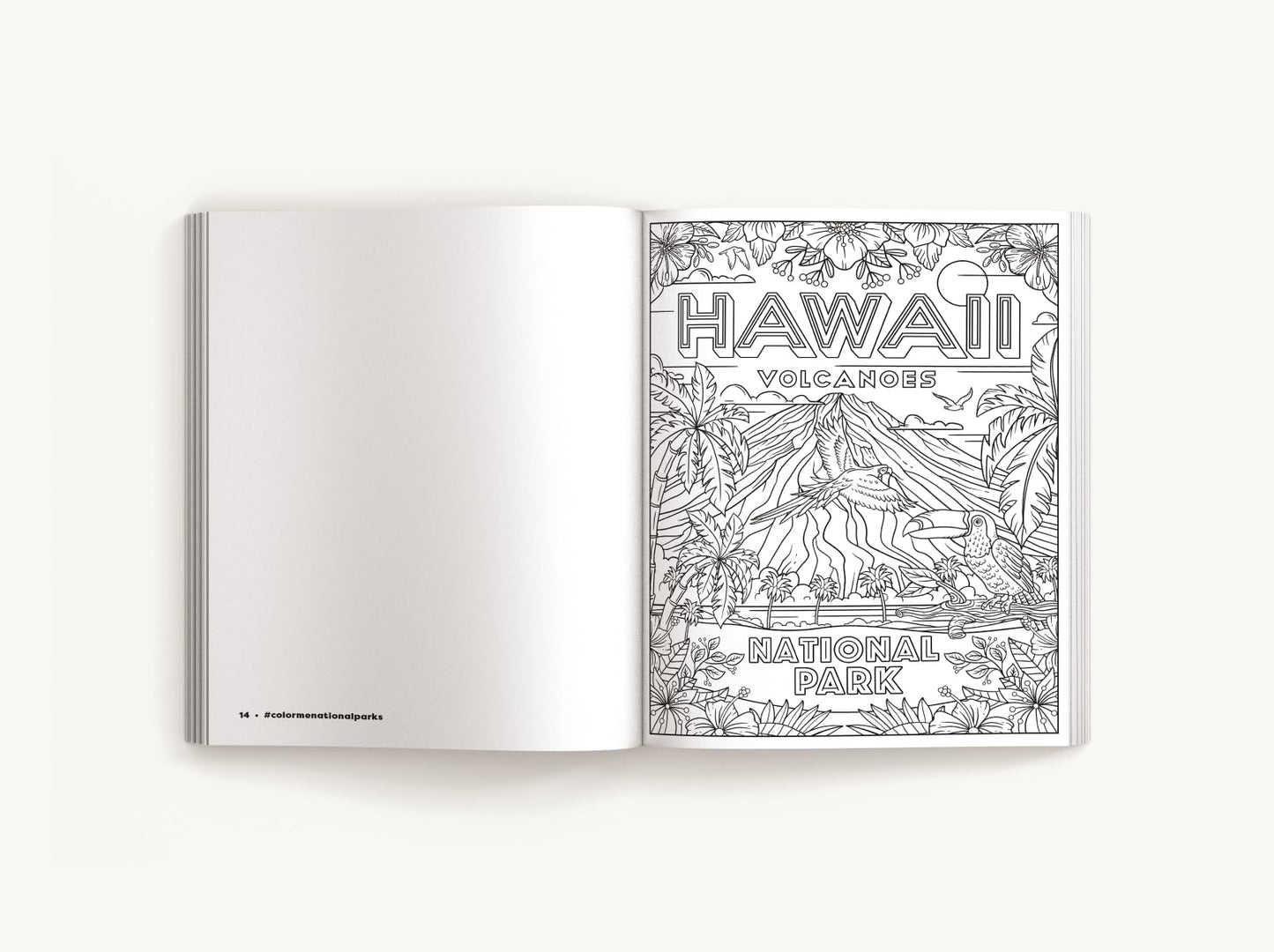 Color Me National Parks: An Adventurous Coloring Book (Color Me Coloring Books)