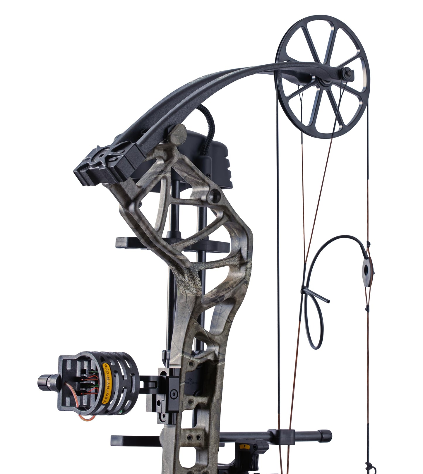 Bear Species XT Ready to Hunt Compound Archery Bow, 70lb. Draw Weight, Left Hand, Mossy Oak Roots/Black
