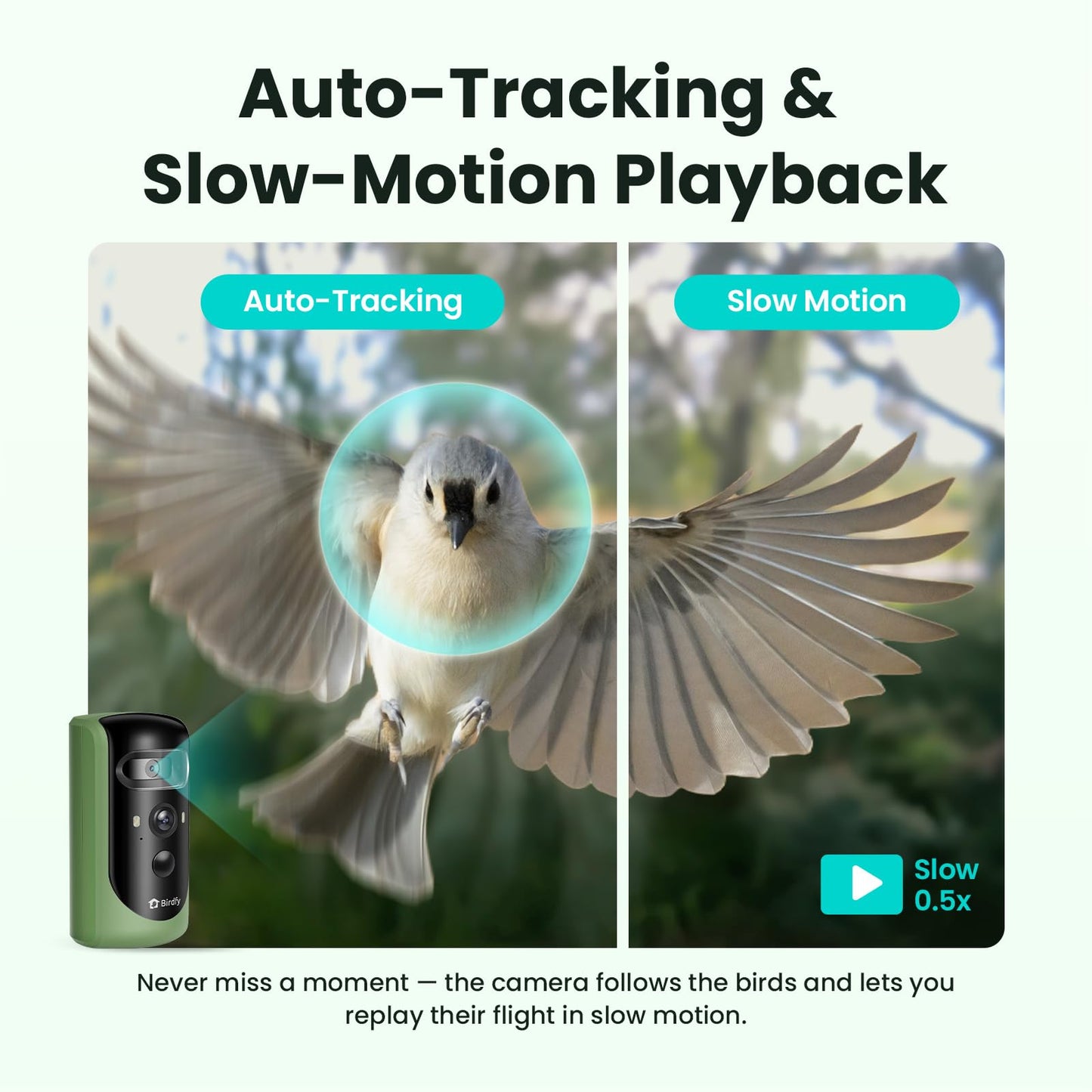 Birdfy 2 Smart Bird Feeder with Camera, AI Identifies Bird Species, 2K Dual-Lens + Side HD Camera for Live Streaming & Feeding View, Solar-Powered Backyard Birdwatching Gift Present