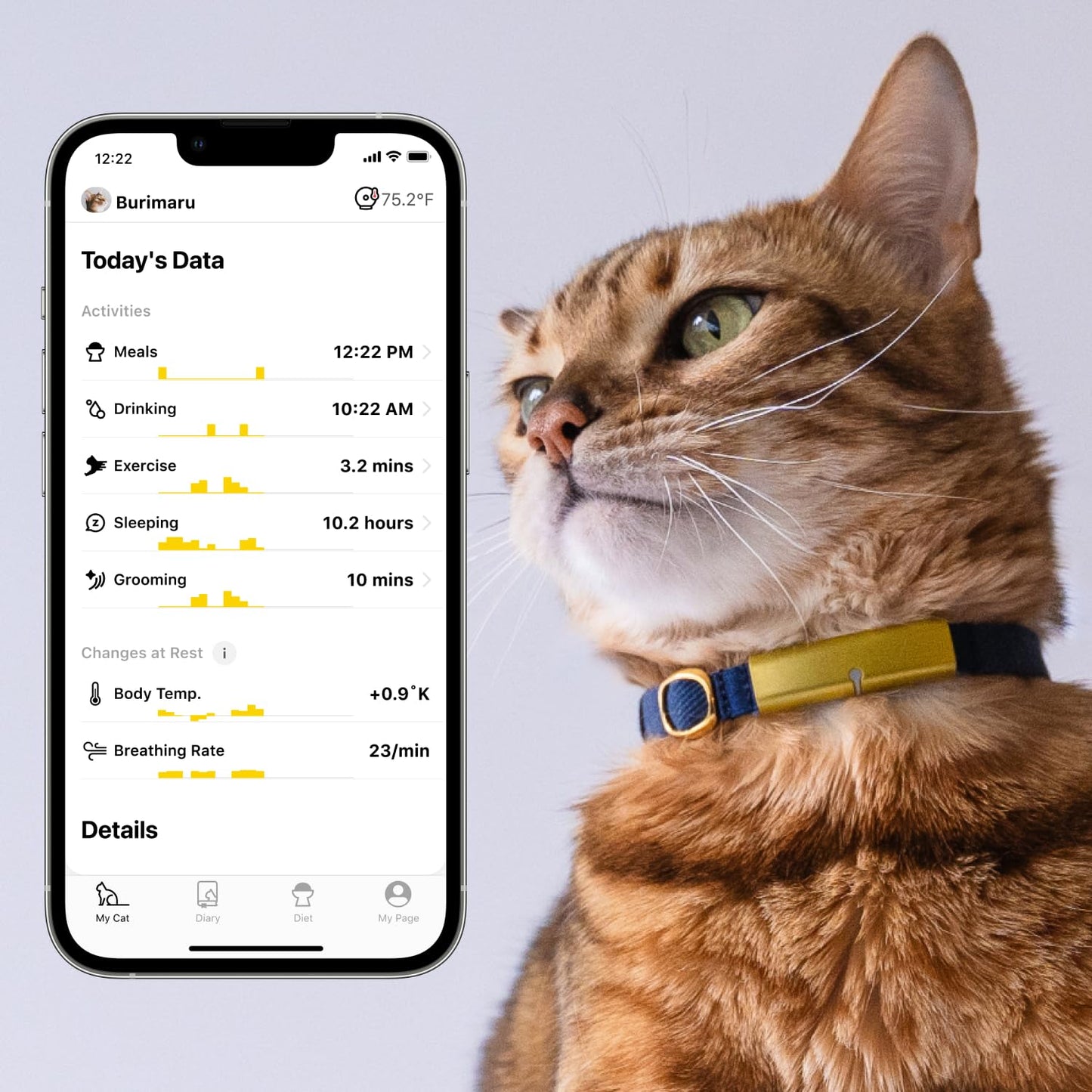 Catlog Health Tracker for Cats - Smart Cat Collar with Safety Breakaway Buckle for Indoor Cats, Wellness Alerts, Real-time Monitoring (Kimono (Ume),L)
