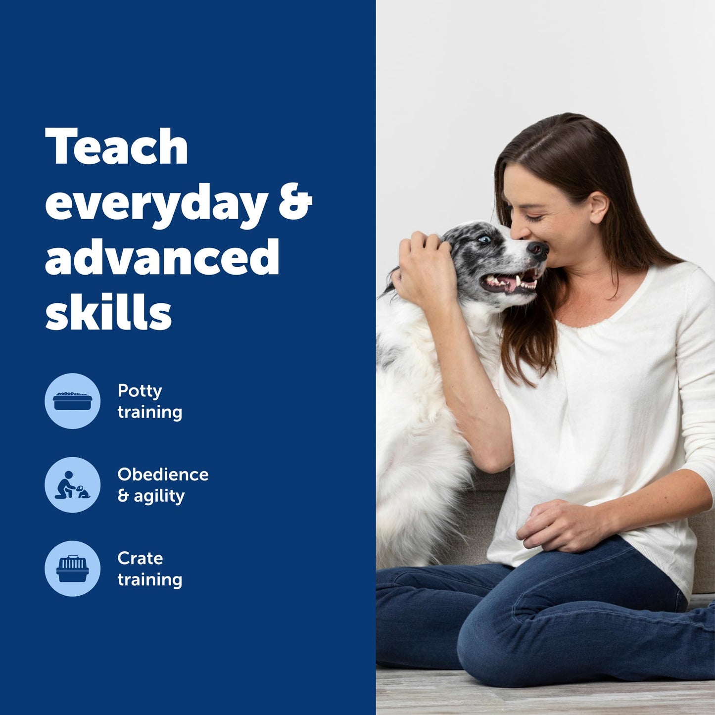 PetSafe Teach & Treat Remote Reward Trainer - Positive Reinforcement Trainer - Reward-Based Dog Training Tool - Lightweight - Battery Operated - Portable Pet Training Device