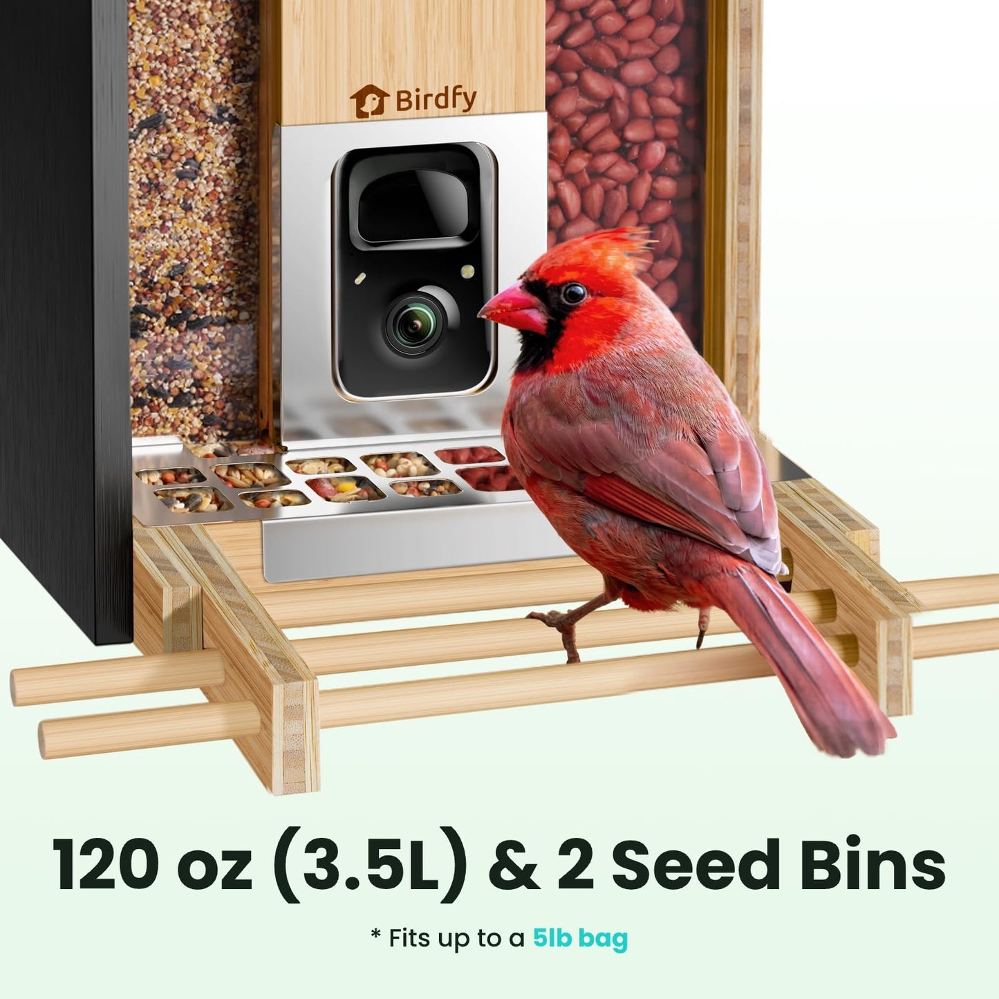 Birdfy Smart Bird Feeder with Camera, Solar Powered 2K Live tream Bamboo Wood feeder& Metal Guard, AI Identify Birds & Auto Record Video, Wild Birds Watching Ideal Gift for Chistmas for mom,Bird-Lover