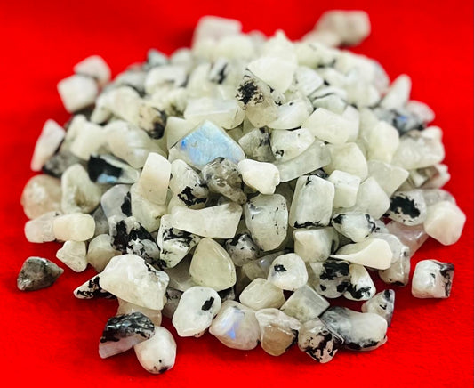 Indian Consigners Natural Crushed Polished Tumbled Gem Stone Chips, Decoration & Healing Crystals (Rainbow Moonstone)