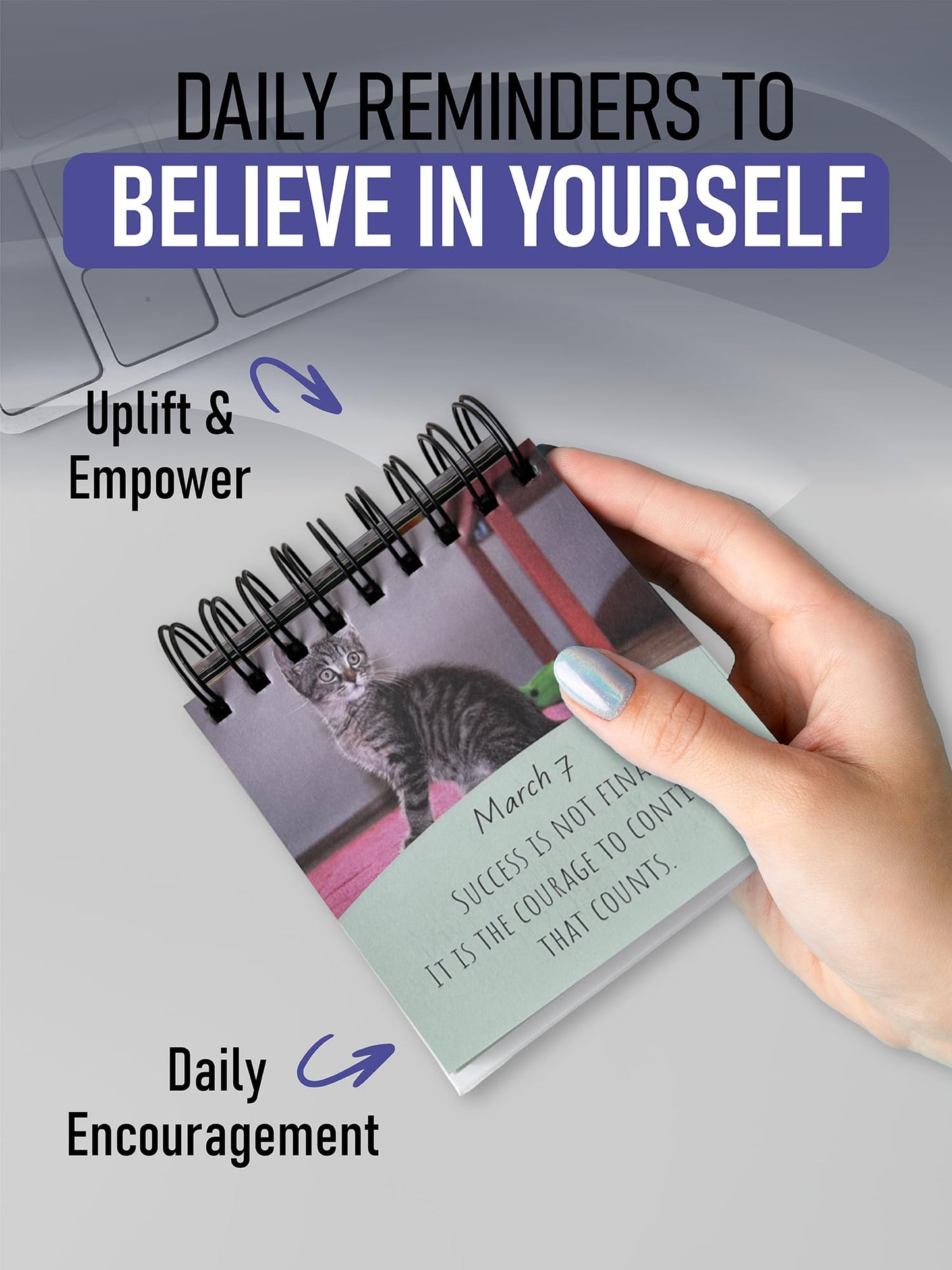 Daily Motivational Cat Calendar – 365 Reusable Quotes & Adorable Cat Photos for Year-Round Positivity – Desk Flip Calendar for Cat Lovers, Cute Animal Enthusiasts, & Motivation Seekers