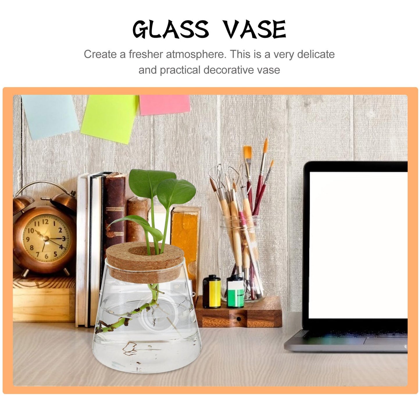 Homoyoyo 2pcs Glass Hydroponic Plants Vase Small Terrarium Flower Pots Desktop Water Planting Decoration for Home and Office