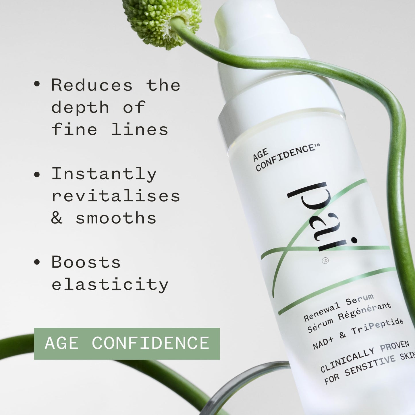 Pai Skincare - Age Confidence Renewal Serum with NAD+ and TriPeptide | Natural, Vegan, Sensitive Skincare (1 fl oz | 30 ml)