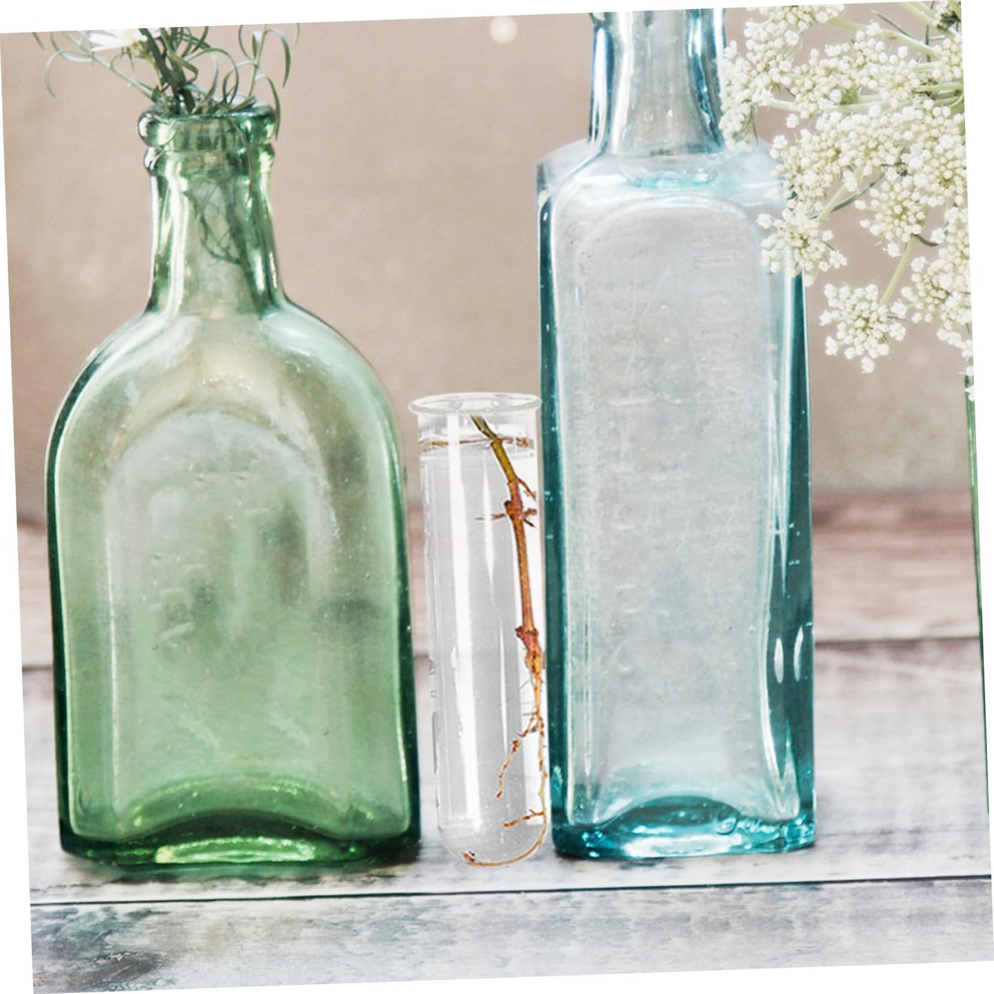Healifty 4pcs Terrarium Supplies Glass Plant Vase Test Tube Vases for Flowers Plant Propagation Glass Tubes