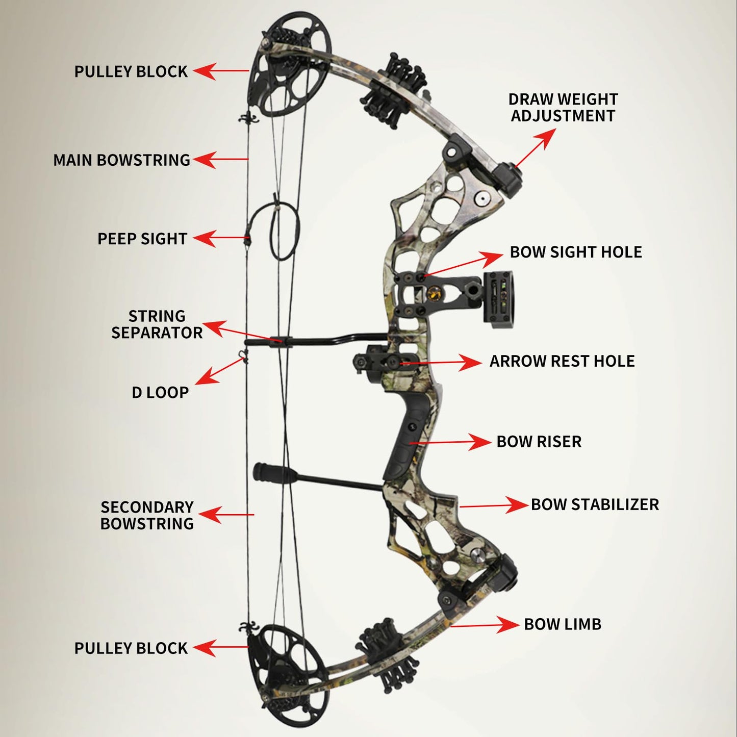 Adult Archery Compound Bow Fishing Combination Kit Adjustable 30-65lbs Composite Bow Combination 19.5 "-30" Rope Length Hunting Equipment (Camo)