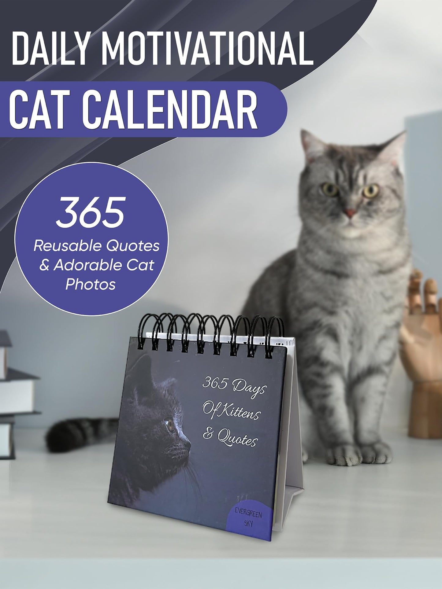 Daily Motivational Cat Calendar – 365 Reusable Quotes & Adorable Cat Photos for Year-Round Positivity – Desk Flip Calendar for Cat Lovers, Cute Animal Enthusiasts, & Motivation Seekers