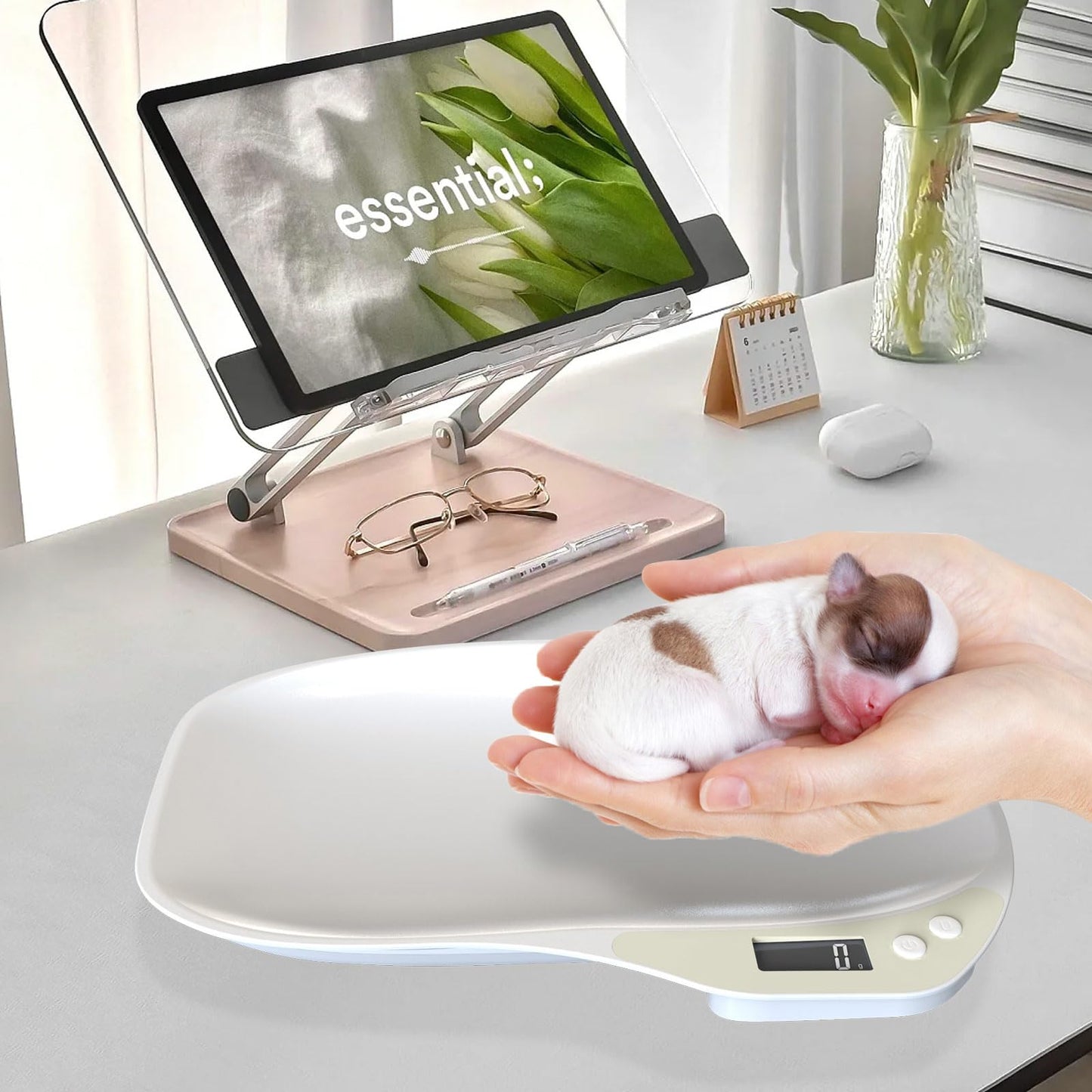 Small Digital Pet Scale for Dogs Cats, Max 33 lbs LCD Display Small Animal Scale, Multi-Function Mini Electronic Kitchen Food Weighing Scales, for Hamster Kitten Puppy Hamster Little Bird