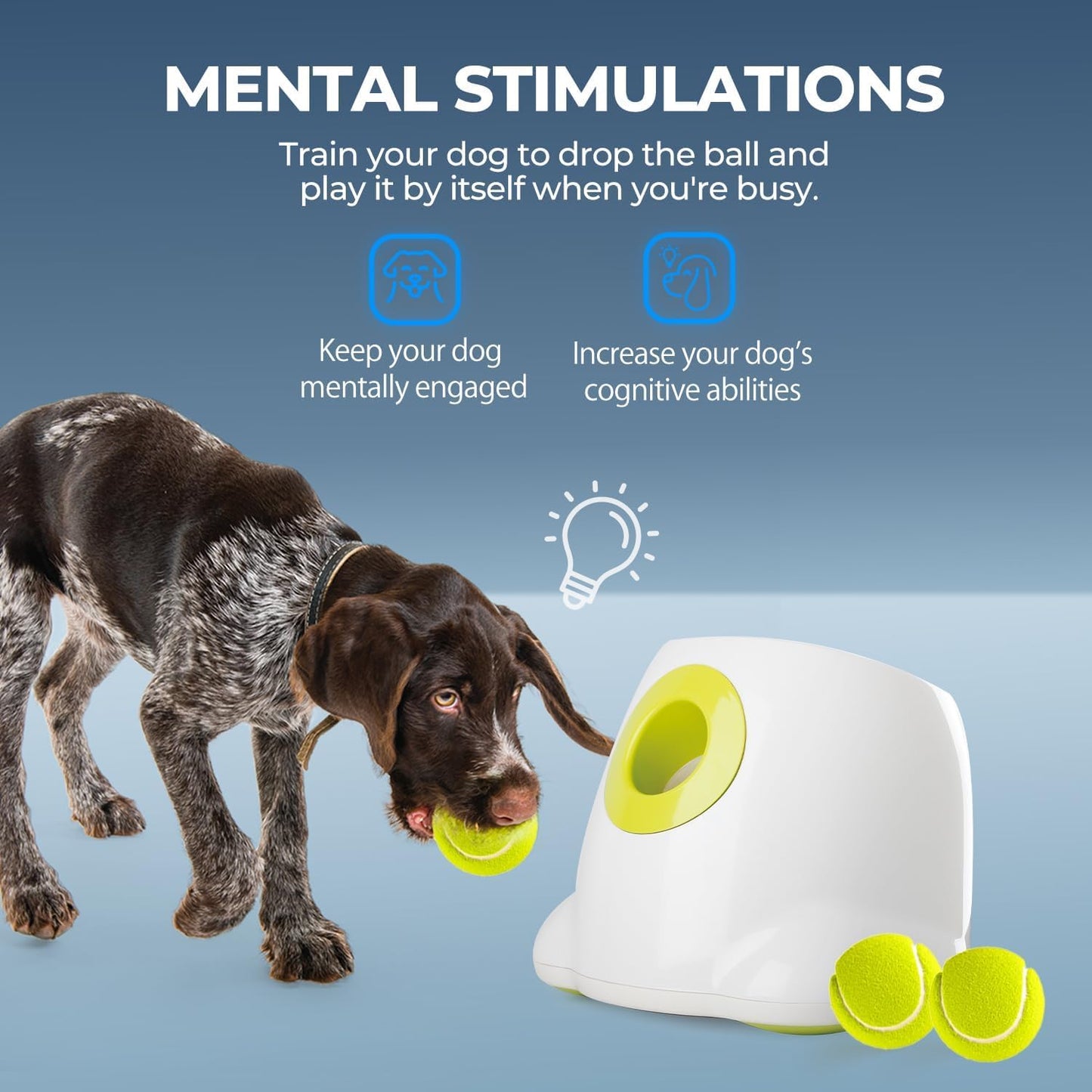 ALL FOR PAWS Automatic Ball Launcher for Dogs, Interactive Tennis Ball Outdoor Thrower for Medium to Large Dogs, Rechargeable Dog Toy, 6 Balls Included