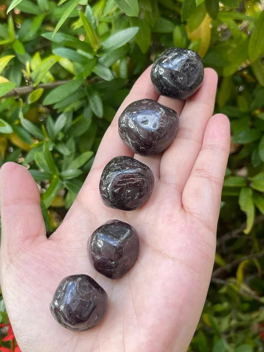 GAF TREASURES 5 Pcs Garnet Tumbled Stones, Polished Garnet Gemstone, Garnet Healing Crystals (Garnet)