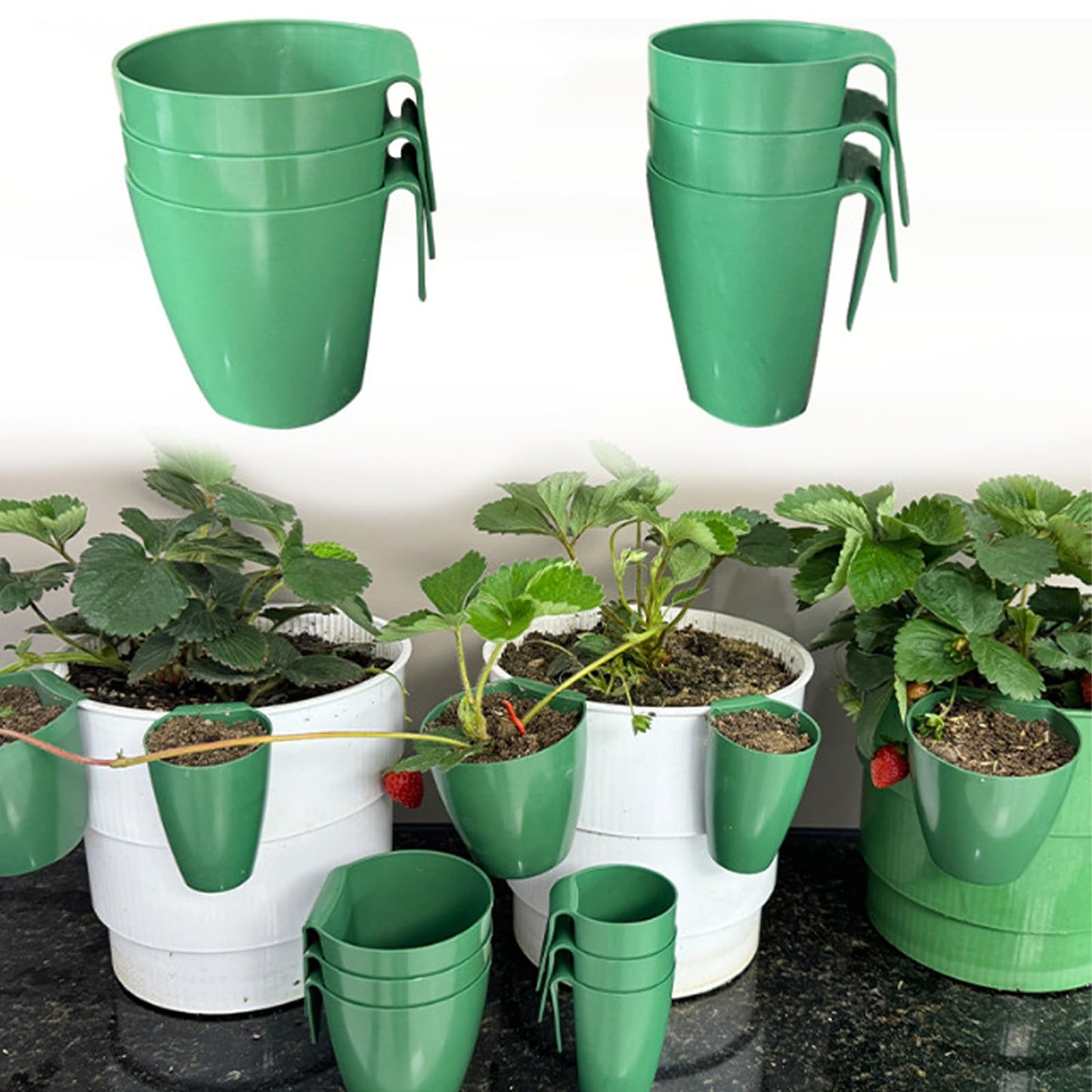 Kangnice Propagation Cup Set Featuring Food Grade and Runner Forks Ideal for Strawberry Runners and Seedling Cultivation Strawberry Fixing Fork