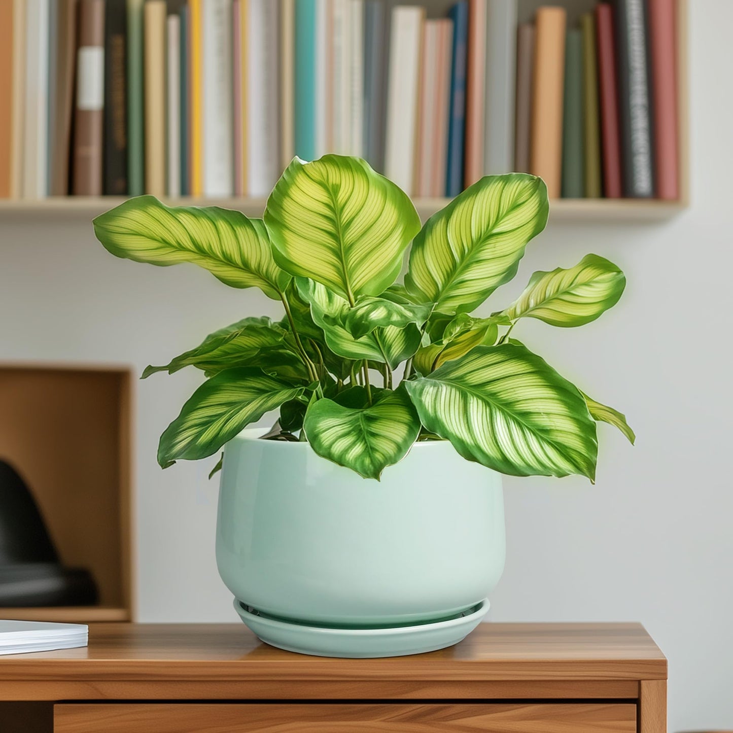 G EPGardening Ceramic Plant Pots - 6 Inch Pot for Plants, Ceramic Planter with Drainage and Saucer, Flower Indoor Outdoor Planter, Modern Bathroom Decor, Birthday Gifts, Green