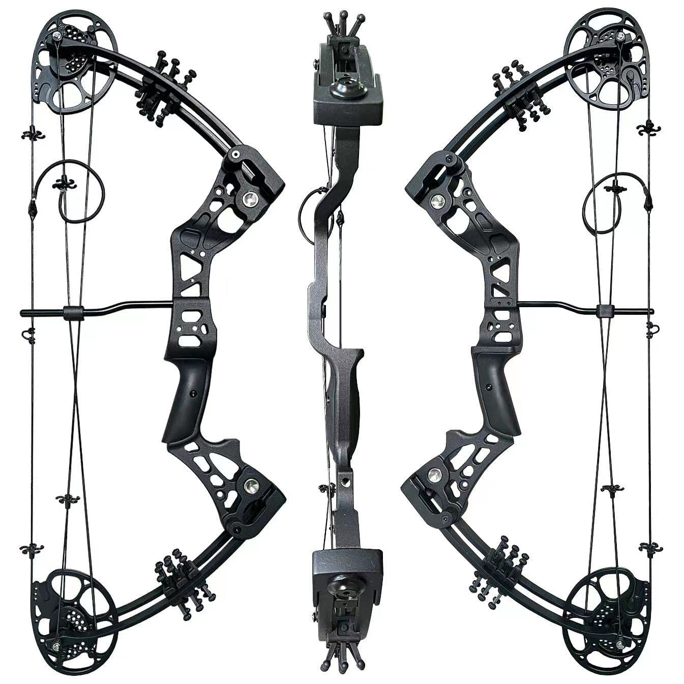 PANDARUS Compound Bow Set 15-45lbs for Pull Beginner and Teens Right Handed Adjustable 18"-29" Draw Length, 320 FPS Speed, Hunting Bow Archery Set New 2024(Black Right Handed PRO)