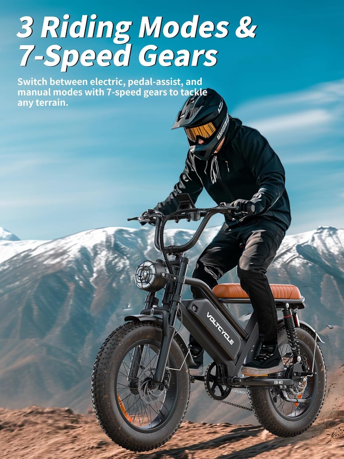 Leeyalan Electric Bicycle for Adults 750W Motor 28 MPH 50 Miles Removable 48V Battery, 20"x4.0"Fat Tire Dual Disc Brakes, ebike Suitable for City Commuting