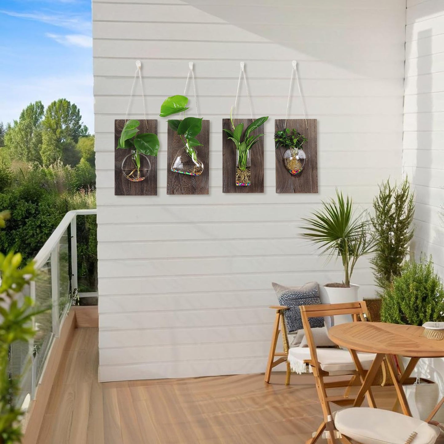 Marooma 2 Pcs Wall Hanging Glass Vases, Solid Wood Wall Mounted Glass Vase, Clear Terrarium Display Vase for Hydroponic Flowers Plants, Home Office Garden Decor (A)