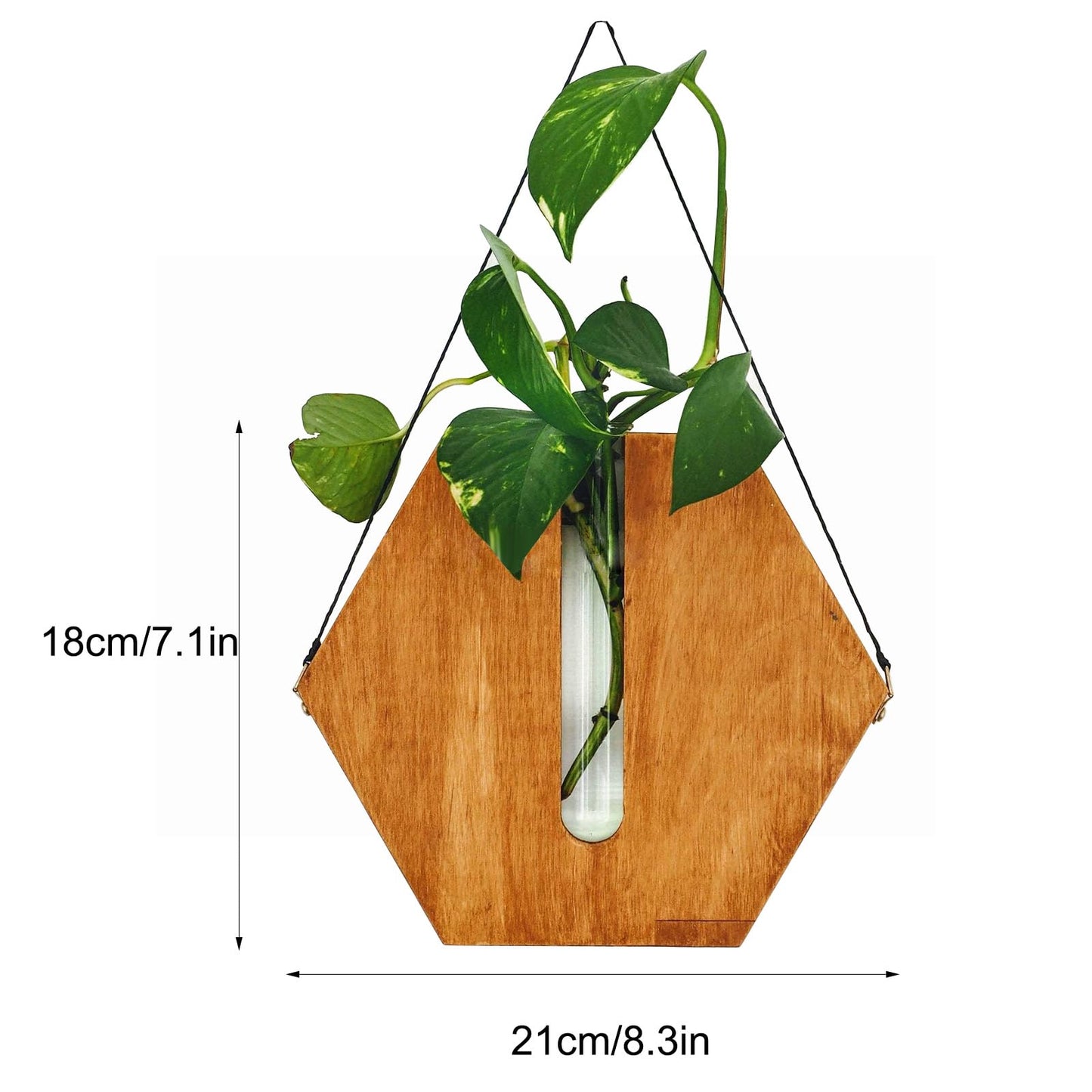 POTRUWE Wooden Wall Hanging Planter Flower Tube Vase, Wall Propagation Planters Glass Plant Terrarium Cylinder Buds Vase Flower Pots Wall Decor for Living Room (Brown)