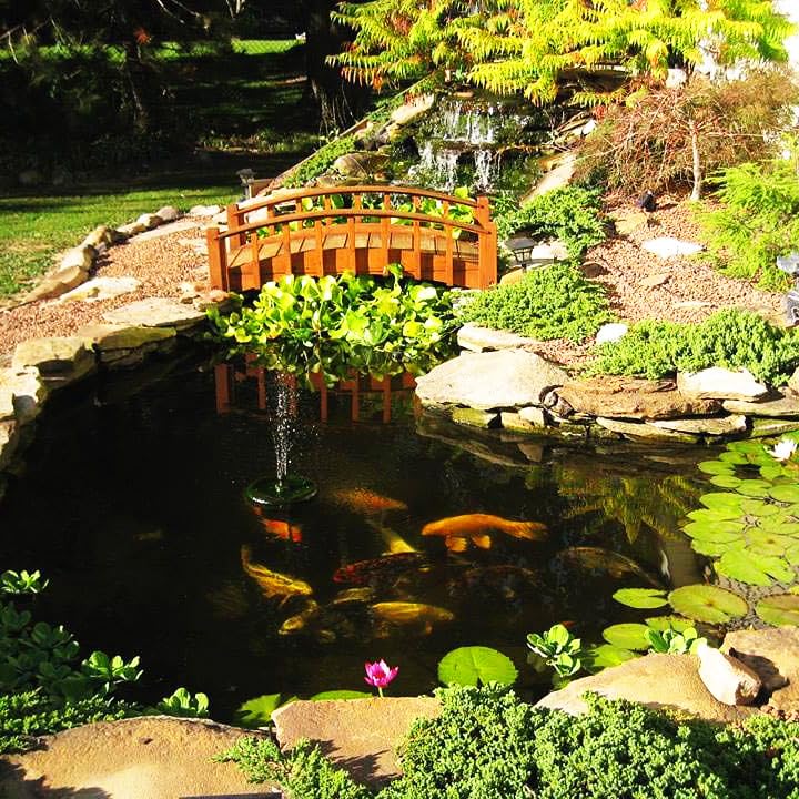 HALF OFF PONDS Savio Signature 4,000 GPH Submersible Pump Pond Kit 20' x 25' EPDM Rubber Pond Liner, Waterfall Filter, Skimmer, Lighting & Plumbing Koi Pond Kit, Backyard Water Garden