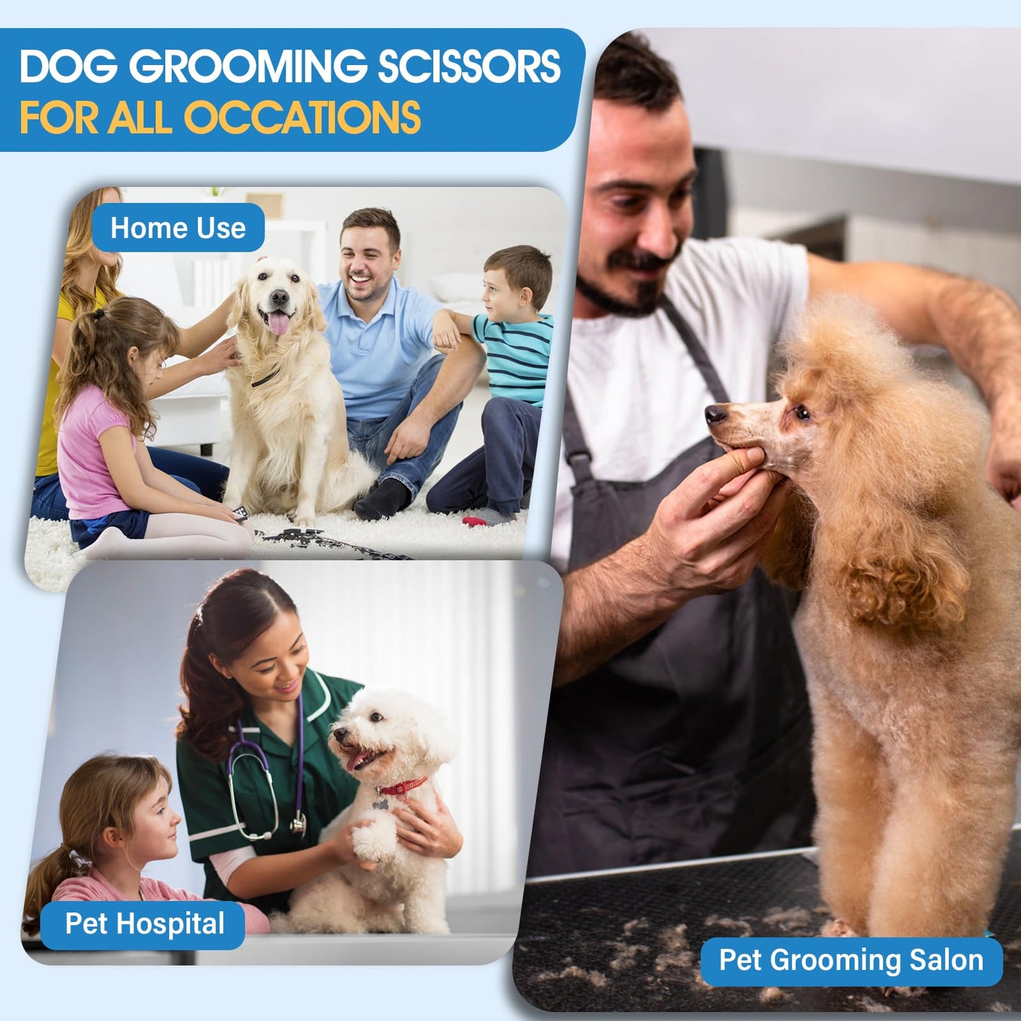 JASON Professional Dog Grooming Scissors Set - 6 in 1 Sharp Shears Set With 7" Thinning, Chunker, Straight, Curved Shears and Comb for Cat Pet, Rosegold