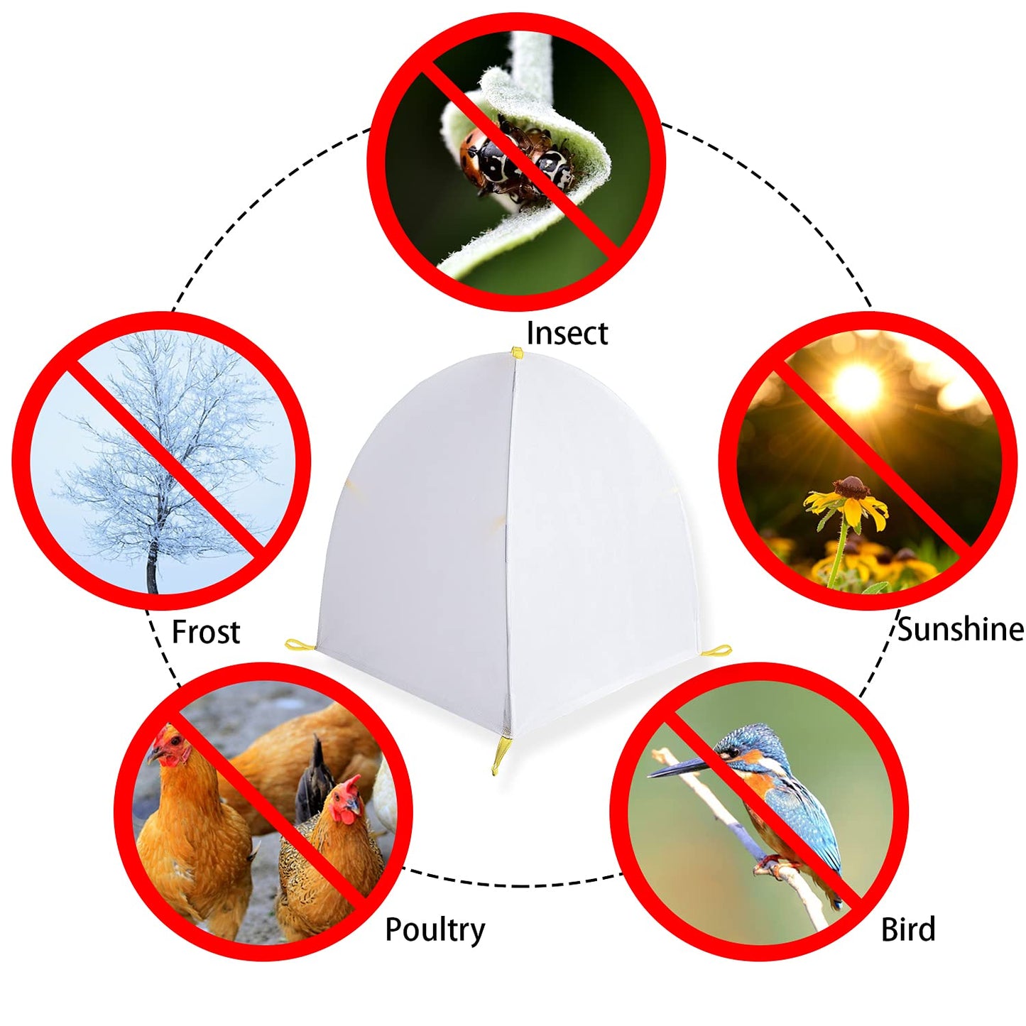 DECOHS 35 x 35 x 39 Inch Warm Plant Protection Tent-Winter Shrub Covers-Winter Snow & Frost Covers Protecting Fruit Tree Potted Plants from Freezing Animals Eating