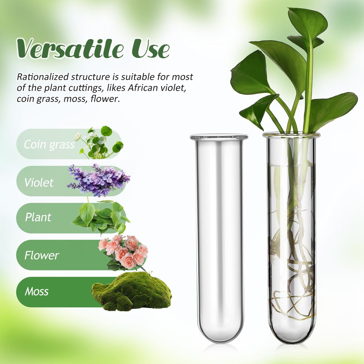 Healifty 5pcs Glass Test Tube Propagation Station for Desk Plant Hydroponics, Small Terrarium Vase Set 2.5x3x11cm, Convenient Hydroponic Plant Propagation Tubes