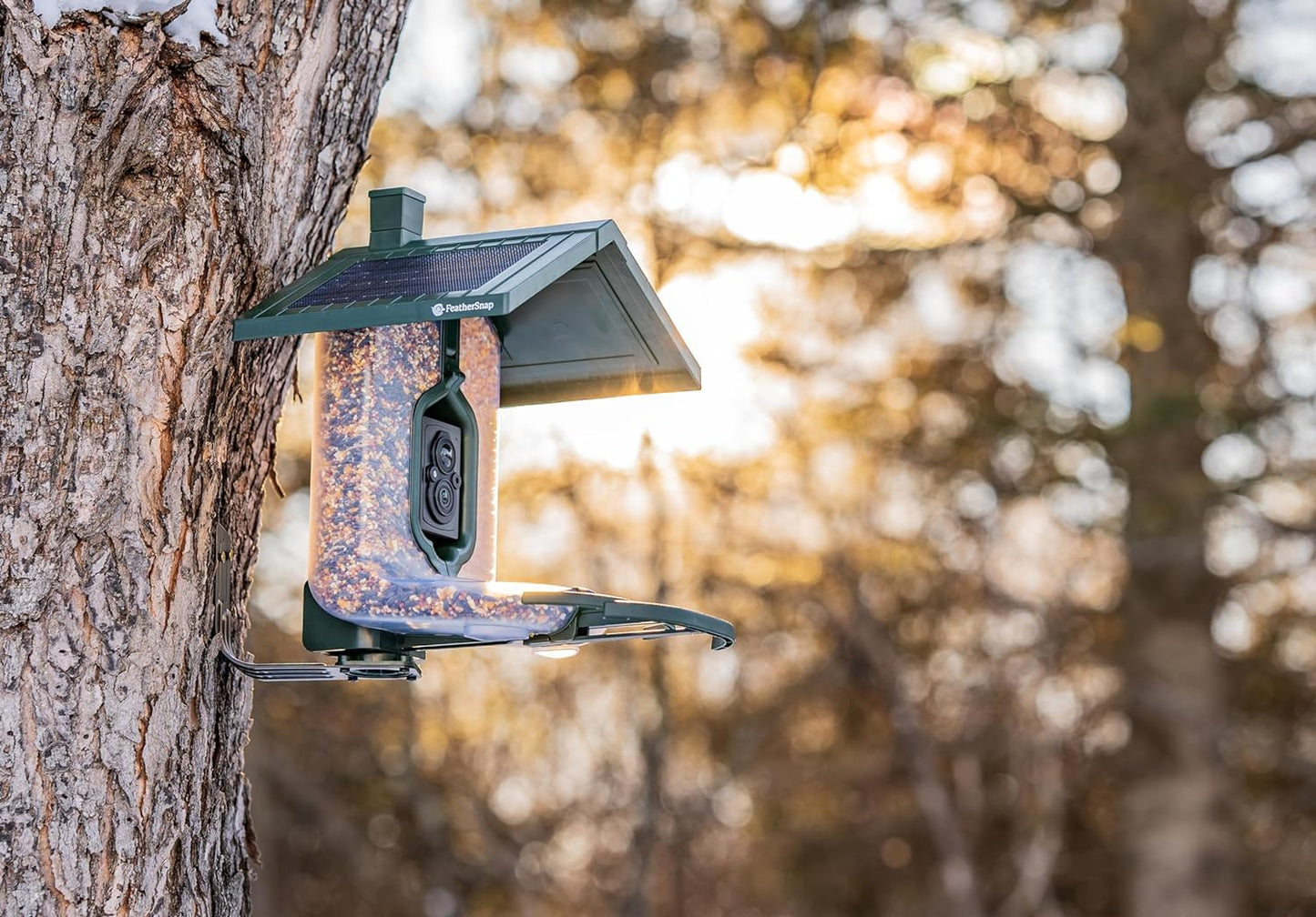 Feathersnap Smart Bird Feeder with AI Identification & HD Camera – Solar-Powered Wi-Fi Feeder Sends Photos & Videos to Your Phone – Includes Pole Mount, Bird Seed, 32GB SD Card, & Cleaning Cloth