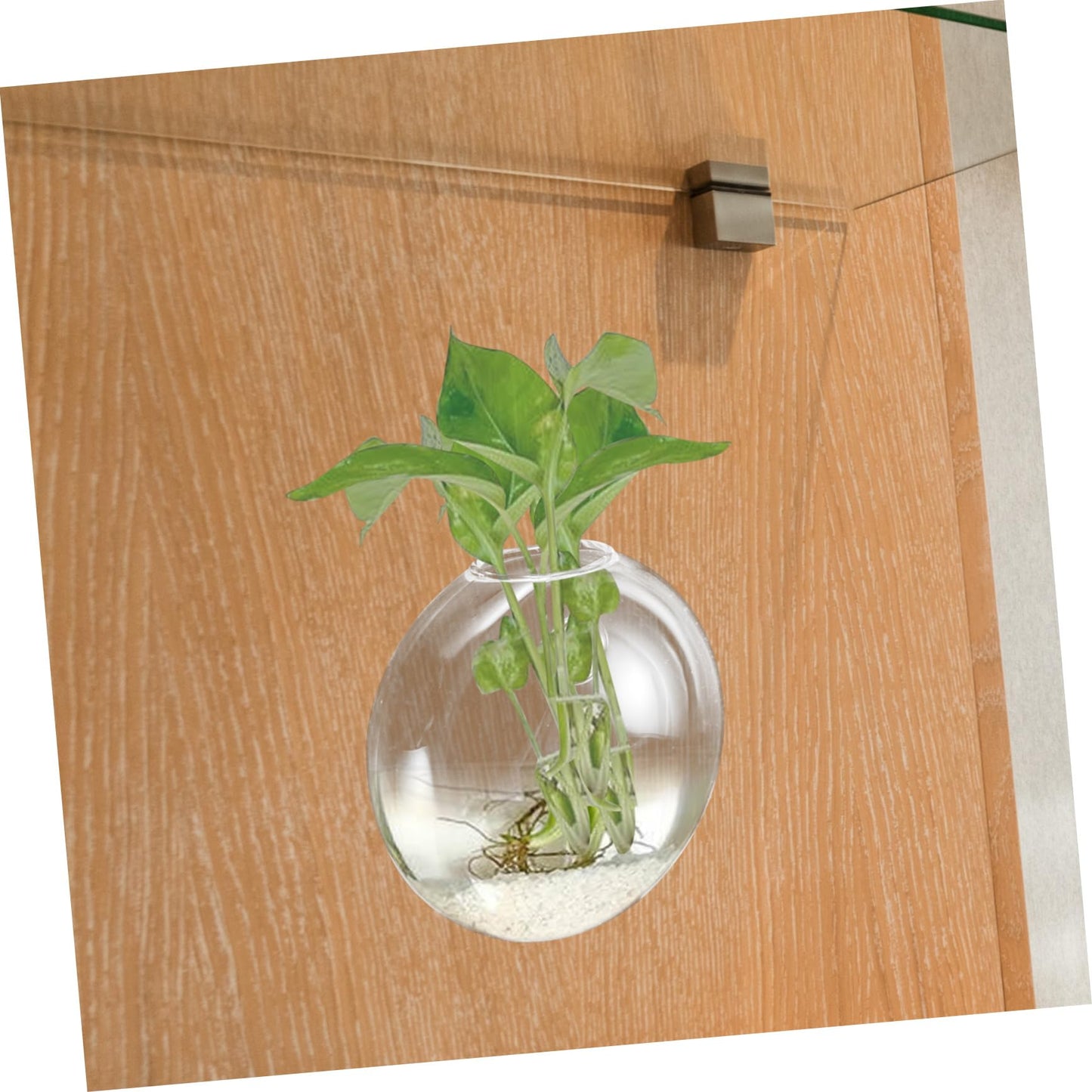 Happyyami Wall Hanging Hydroponic Glass Vase Elegant Transparent Terrarium Planter for Home Decor Versatile Wall Propagation Holder for Indoor Plants