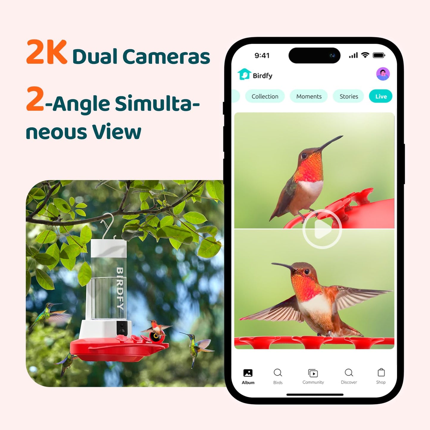 NETVUE by Birdfy Hummingbird Feeder with 2 Cameras Solar Powered - Dual Smart Cams, 2K HD Wireless for 2 Angels Close-up Bird Watching Outdoor, Instant Notifications & Permanent AI Identify (20Oz)