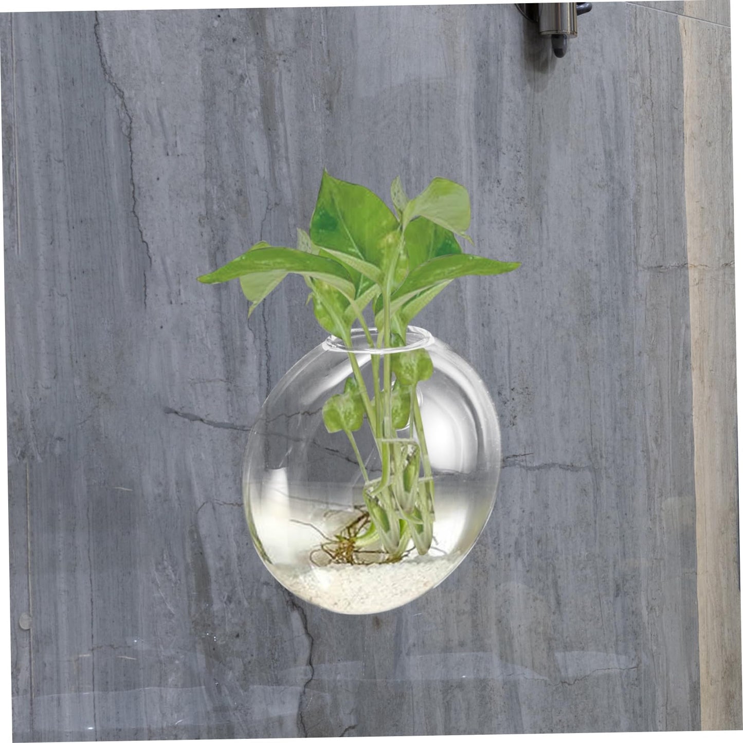 SOLUSTRE Wall Mounted Glass Vase for Hydroponics Plants Hanging Terrarium Planter for Indoor Decor for Propagation Station and Flower Display