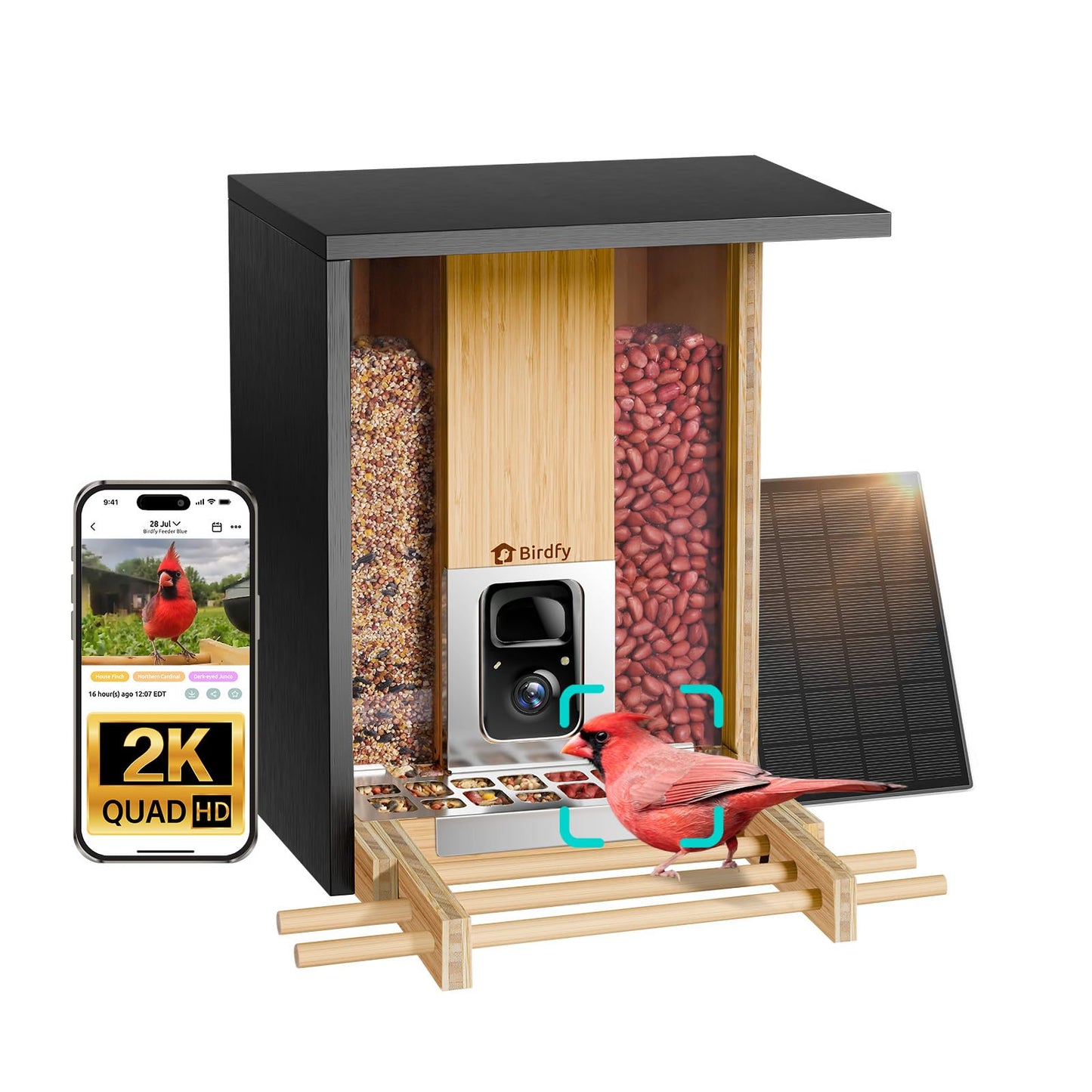 Birdfy Smart Bird Feeder with Camera, Solar Powered 2K Live tream Bamboo Wood feeder& Metal Guard, AI Identify Birds & Auto Record Video, Wild Birds Watching Ideal Gift for Chistmas for mom,Bird-Lover