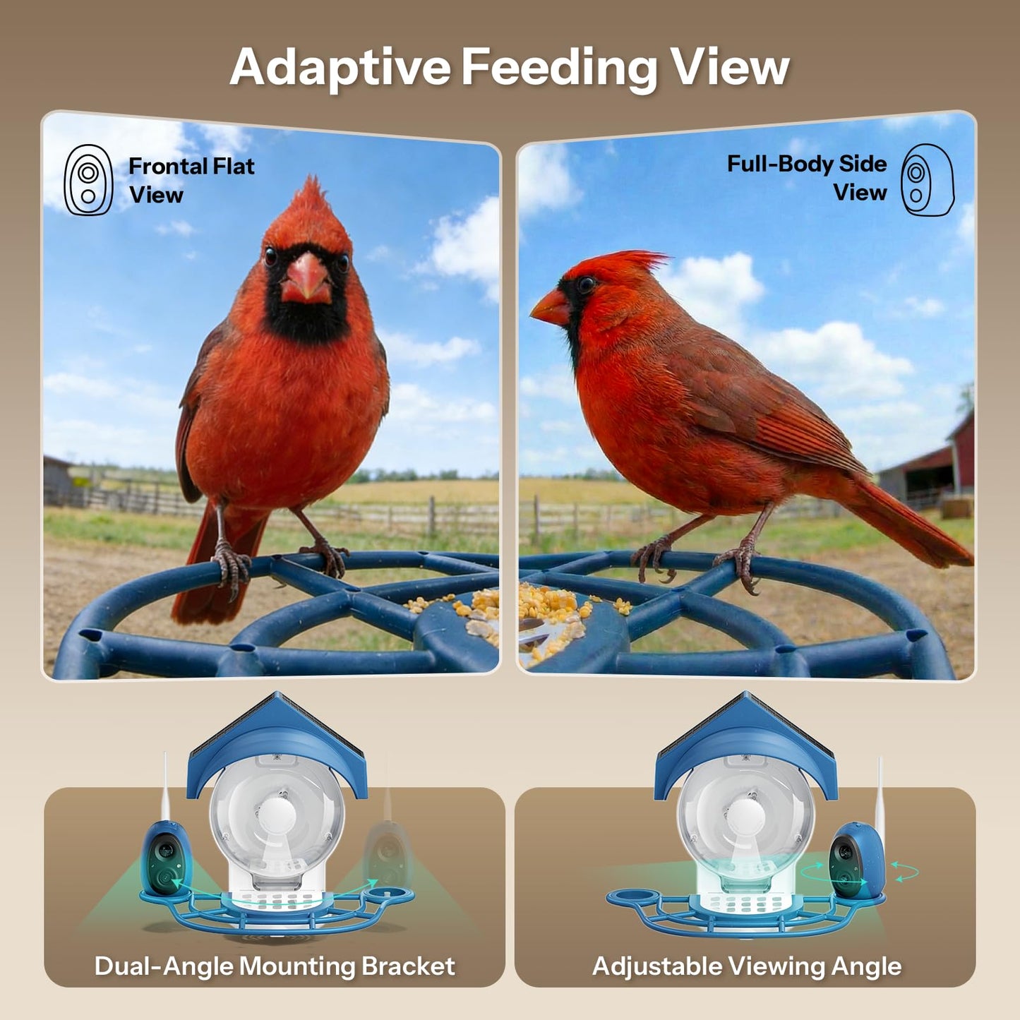 Liscuty Smart Bird Feeder with Camera - 2K HD Smart Bird Feeder, Solar Powered Outdoor Birdhouse with Easy Clean Design for Backyard Birding & Wildlife Bird Watching, Gift for BirdLover (Blue)