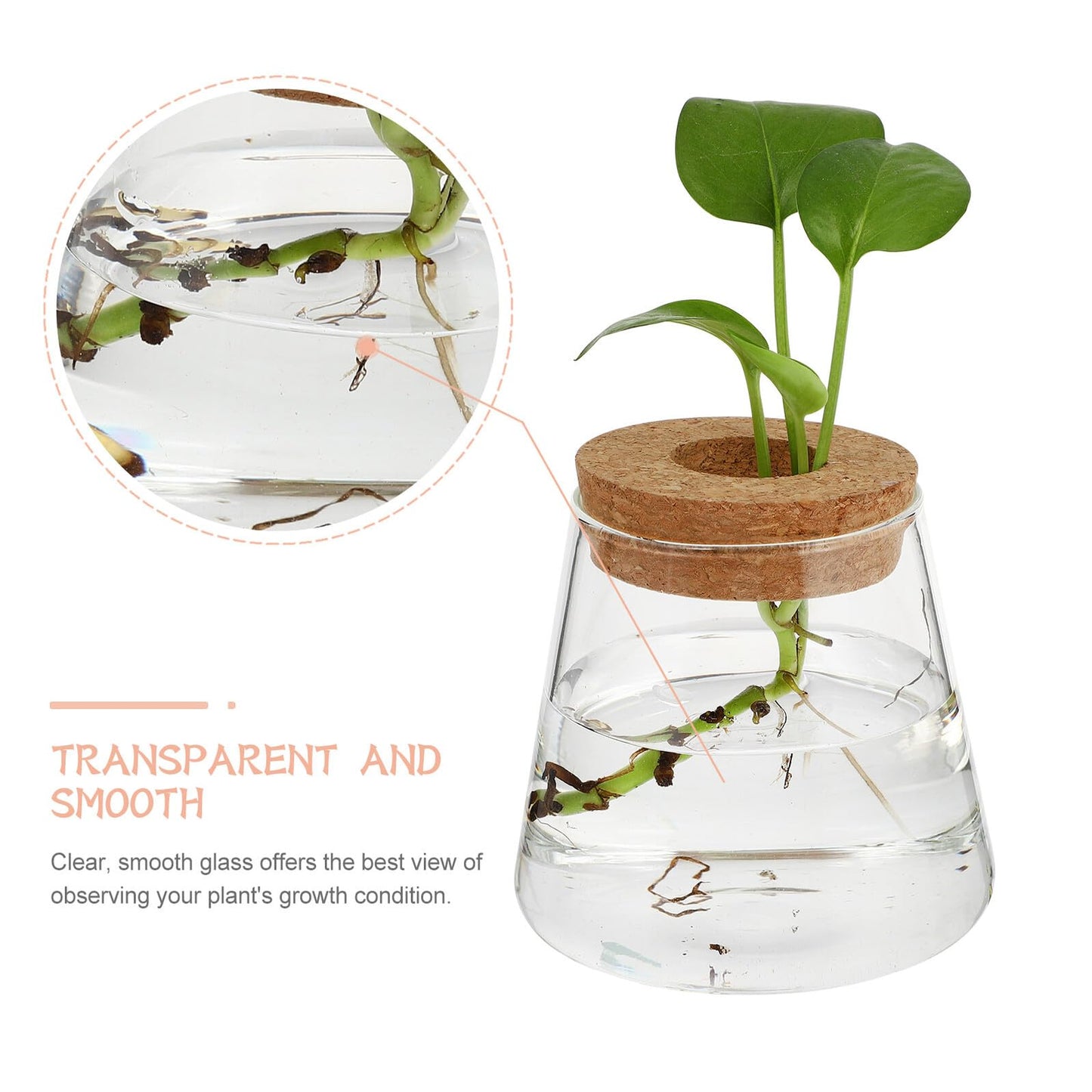 BESPORTBLE Glass Hydroponic Planter Vase 2pcs, 6.5cm Mouth Diameter Glass Plant Pots for Indoor Garden Decoration and Desktop Plant Propagation, Home Office Terrarium Environment