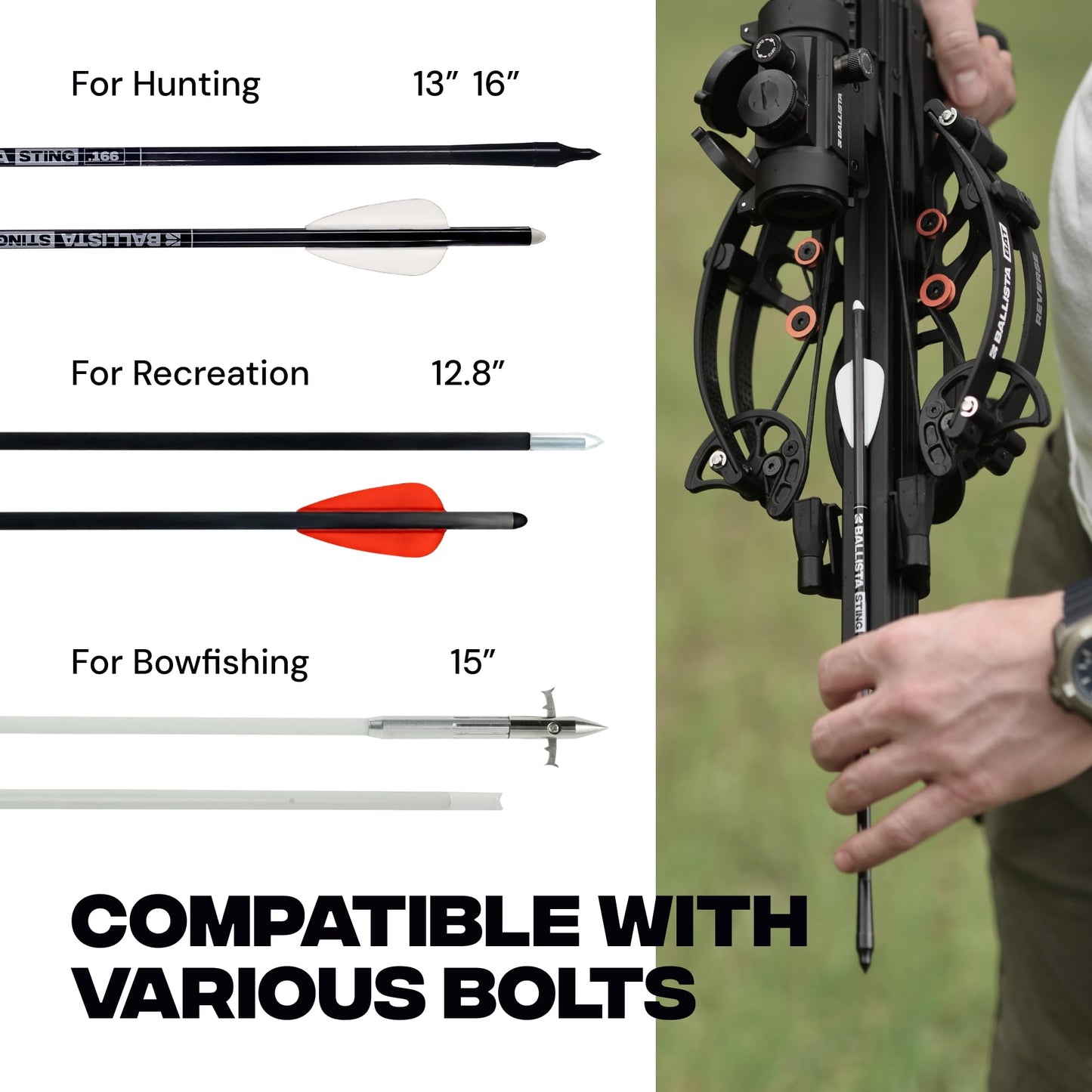 BALLISTA BAT Reverse L-Stock Draw Compound Crossbow for Hunting, Fishing and Target - Fast 340 fps, Powerful 150 lbs, Lightweight 4 lbs