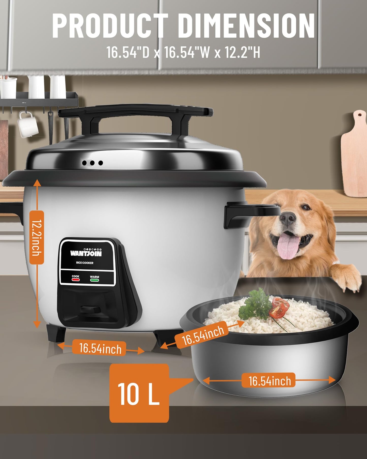 Wantjoin Rice cooker Stainless Rice Cooker & Warmer Commercial Rice cooker for party and family(10L capacity for 4.2L rice,42CUPS) White