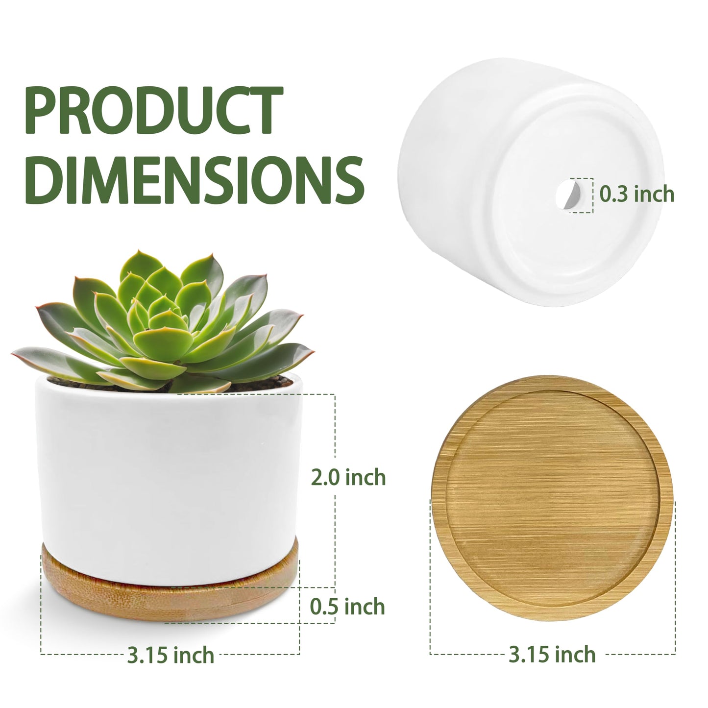 EVIHCG Humorous Quote Planter Pots, Funny Gifts for Women Men Friends Teachers, I Can Explain It to You Ceramic Succulent Plant Flower Planters for Home Office Desk Table Shelf(No Plants)