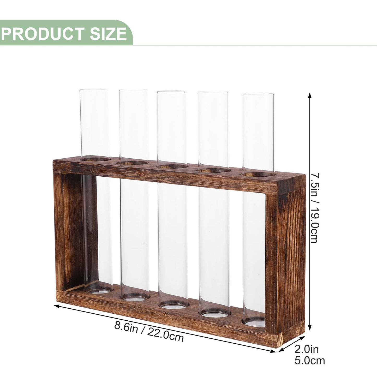 MUCKLILY Glass Test Tube Vase Hydroponic Planter Large Plant Terrarium Container for Home Décor and Water Planting