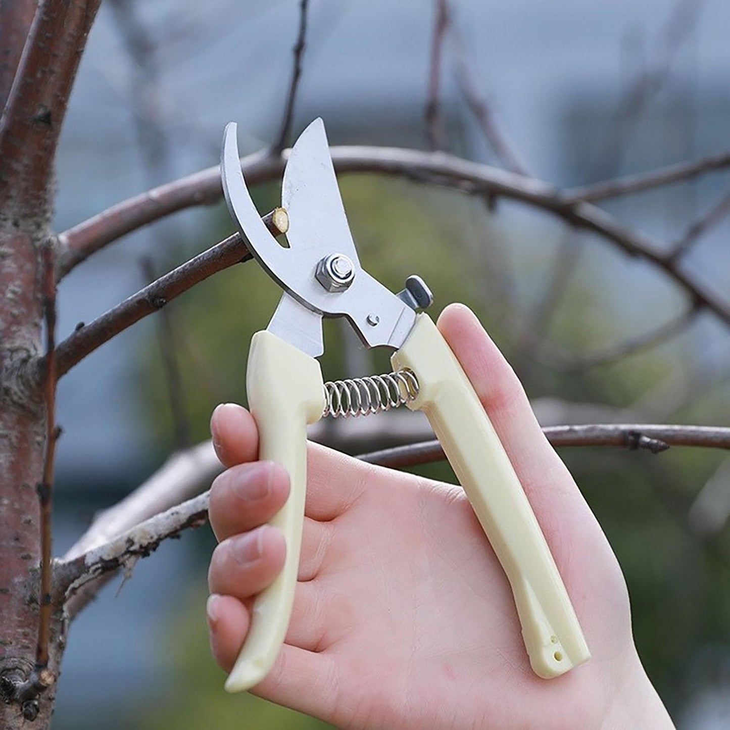5pcs Garden Flower Shears Pruning Shears 6.9 inches Scissors Heavy Duty Plant Scissors for Cutting Flowers, Trimming Plants, Bonsai, Fruits Picking (White Handle 5pcs)