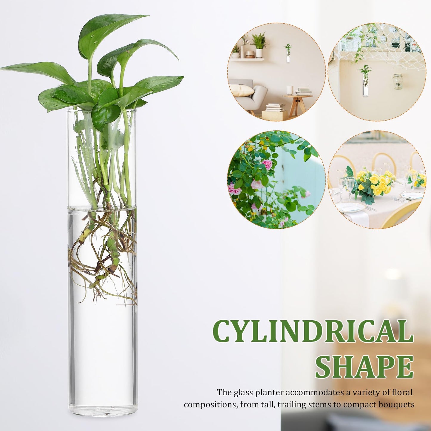 MAGICLULU Wall Mounted Glass Propagation Station Vase for Indoor Plants, Large Cylinder Hanging Planter, Hydroponic Plant Holder, 2pcs for Home Décor and Terrarium Display